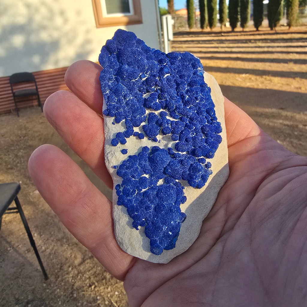 Mineral Specimens | Mini Azurite Suns