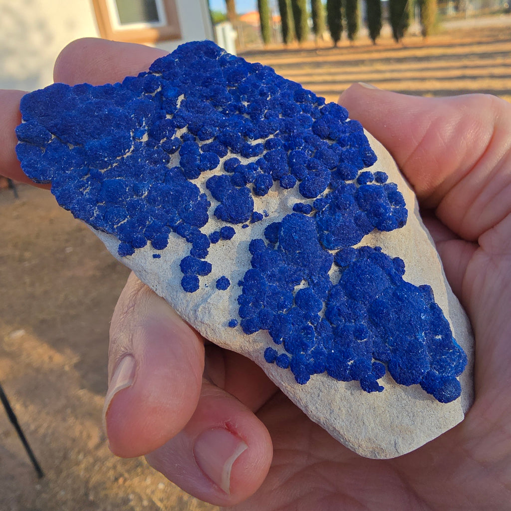 Mineral Specimens | Mini Azurite Suns