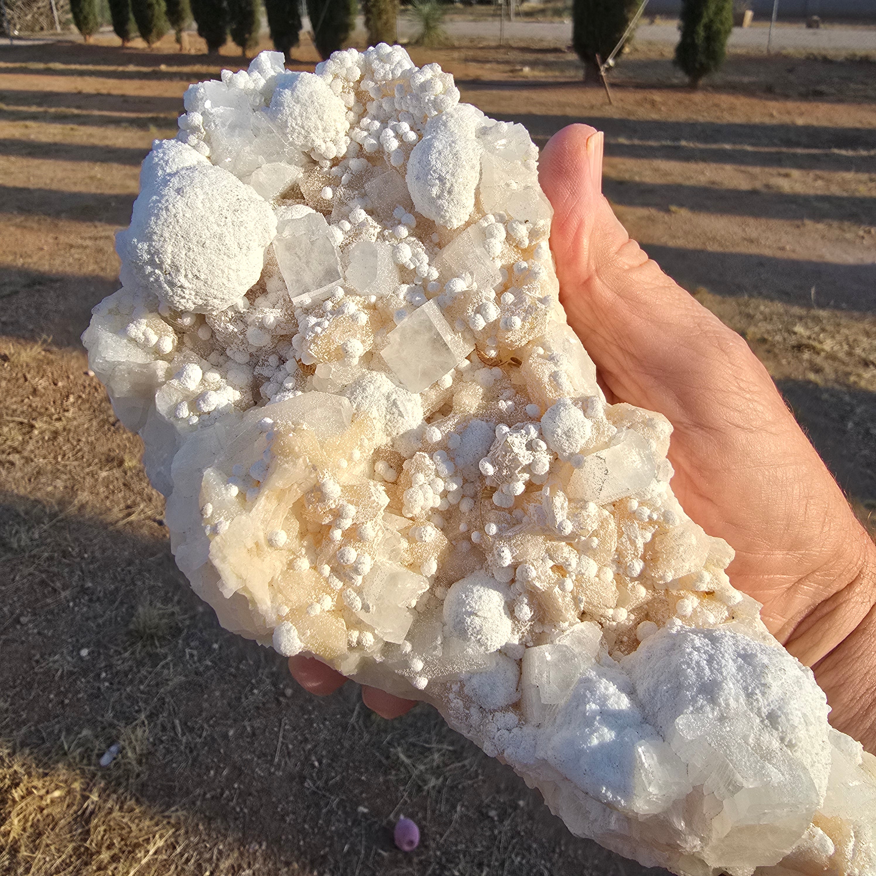Mineral Specimens | Gyrolite w Apophylite & Stilbite