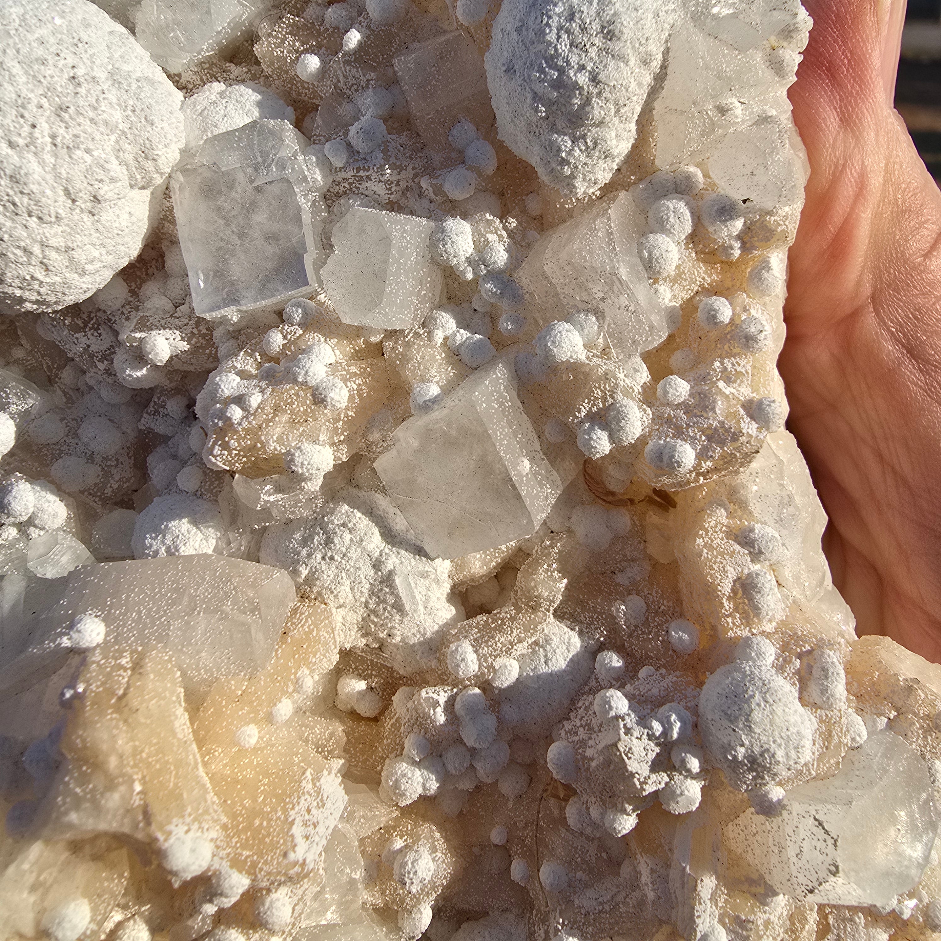 Mineral Specimens | Gyrolite w Apophylite & Stilbite