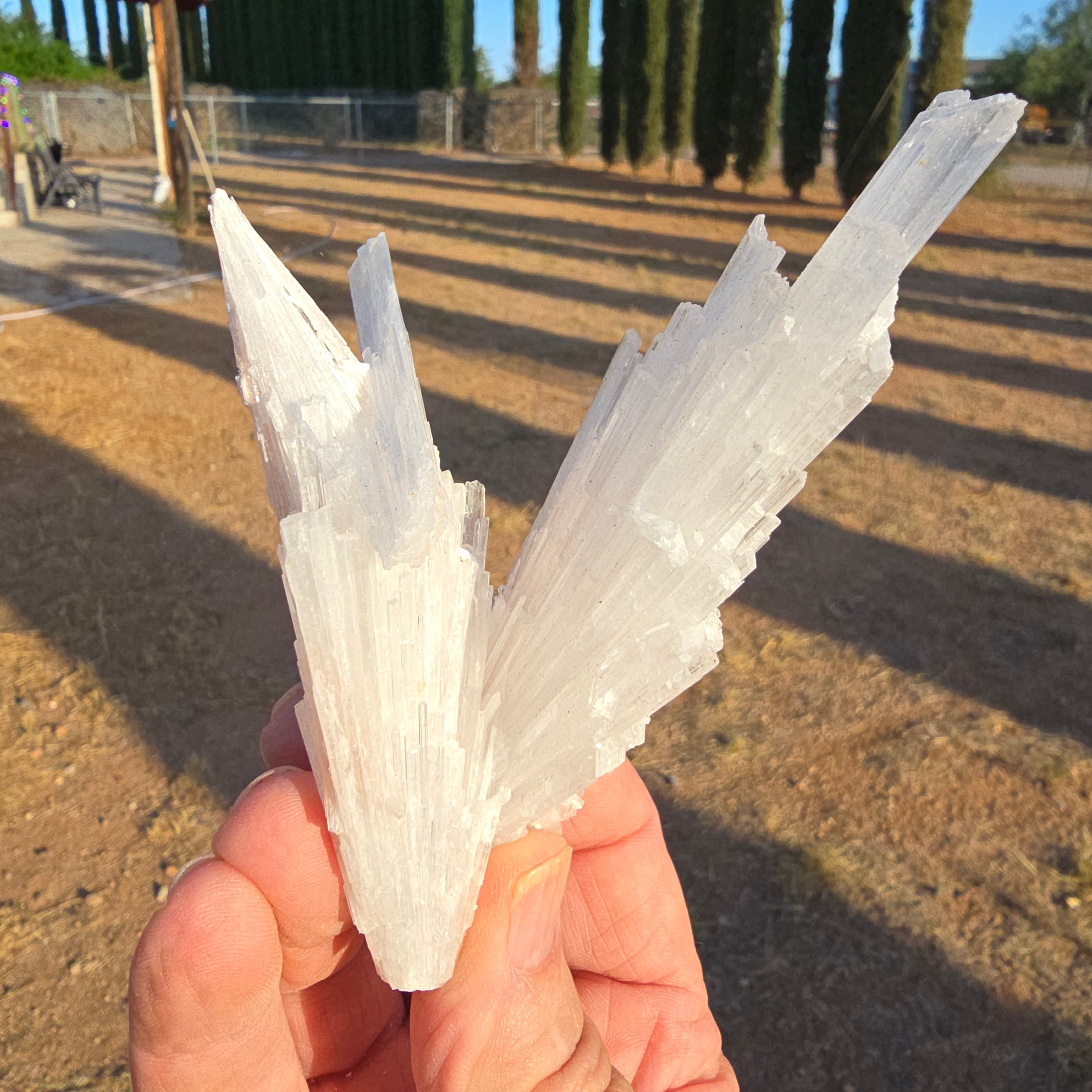 Mineral Specimens | Scolecite Sprays