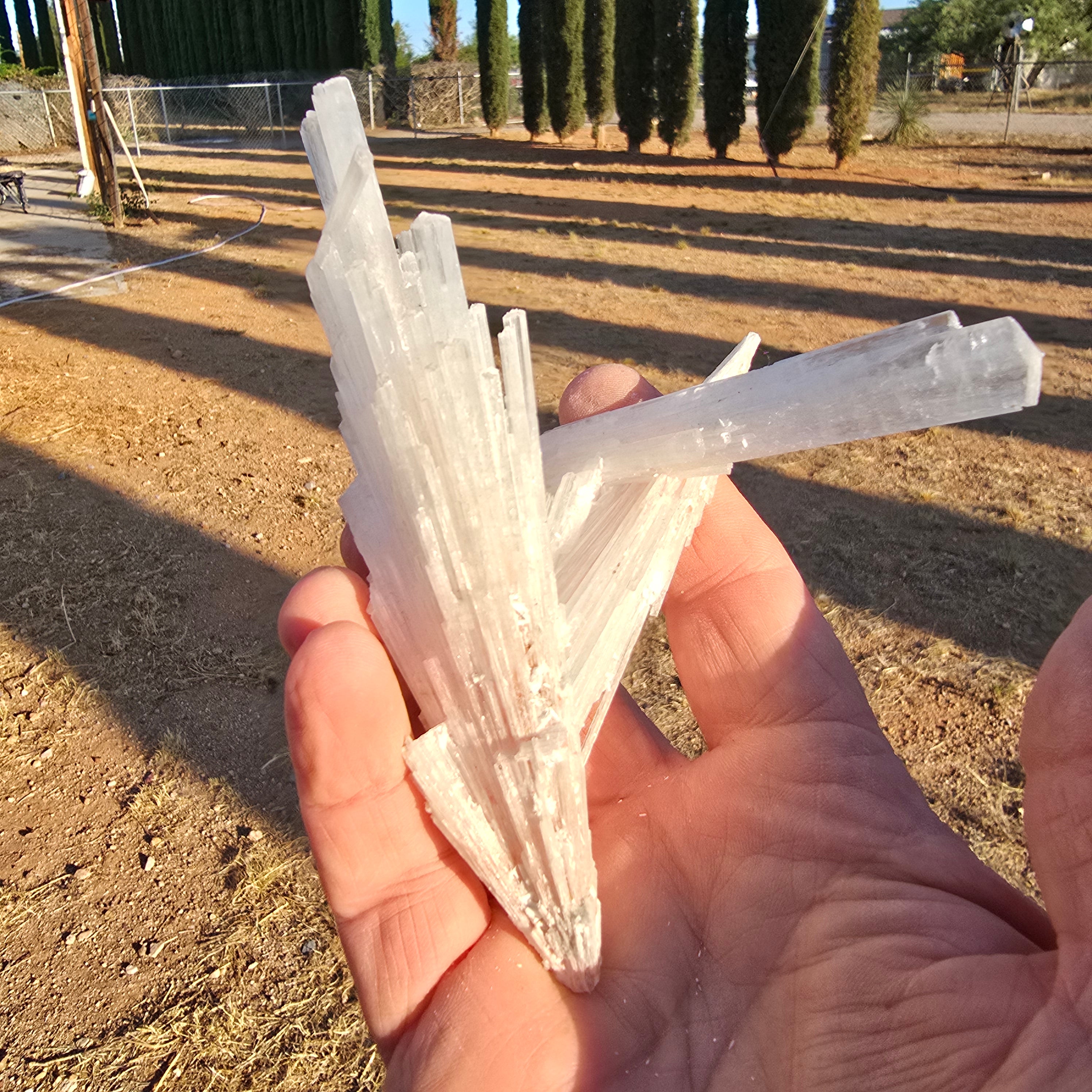 Mineral Specimens | Scolecite Sprays