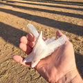 Mineral Specimens | Scolecite Sprays