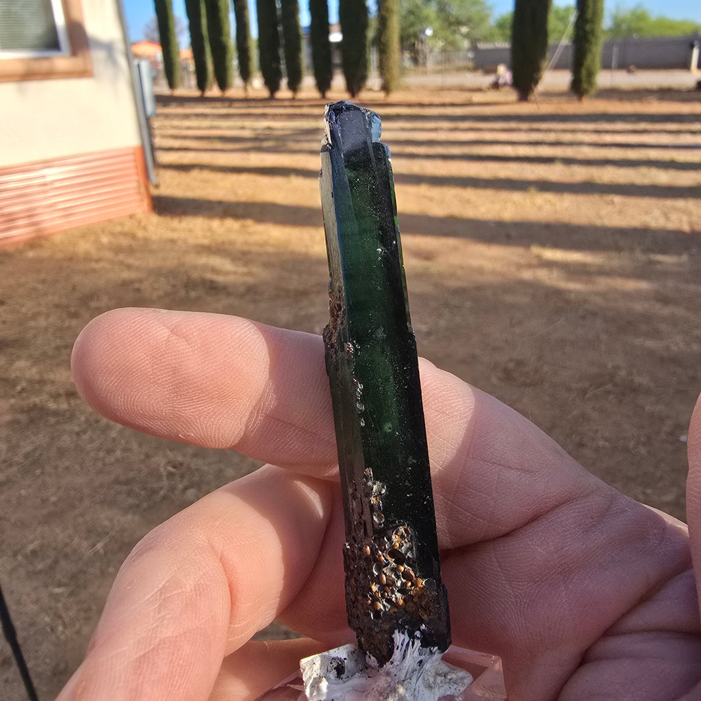 Mineral Specimens | Vivianite Crystal