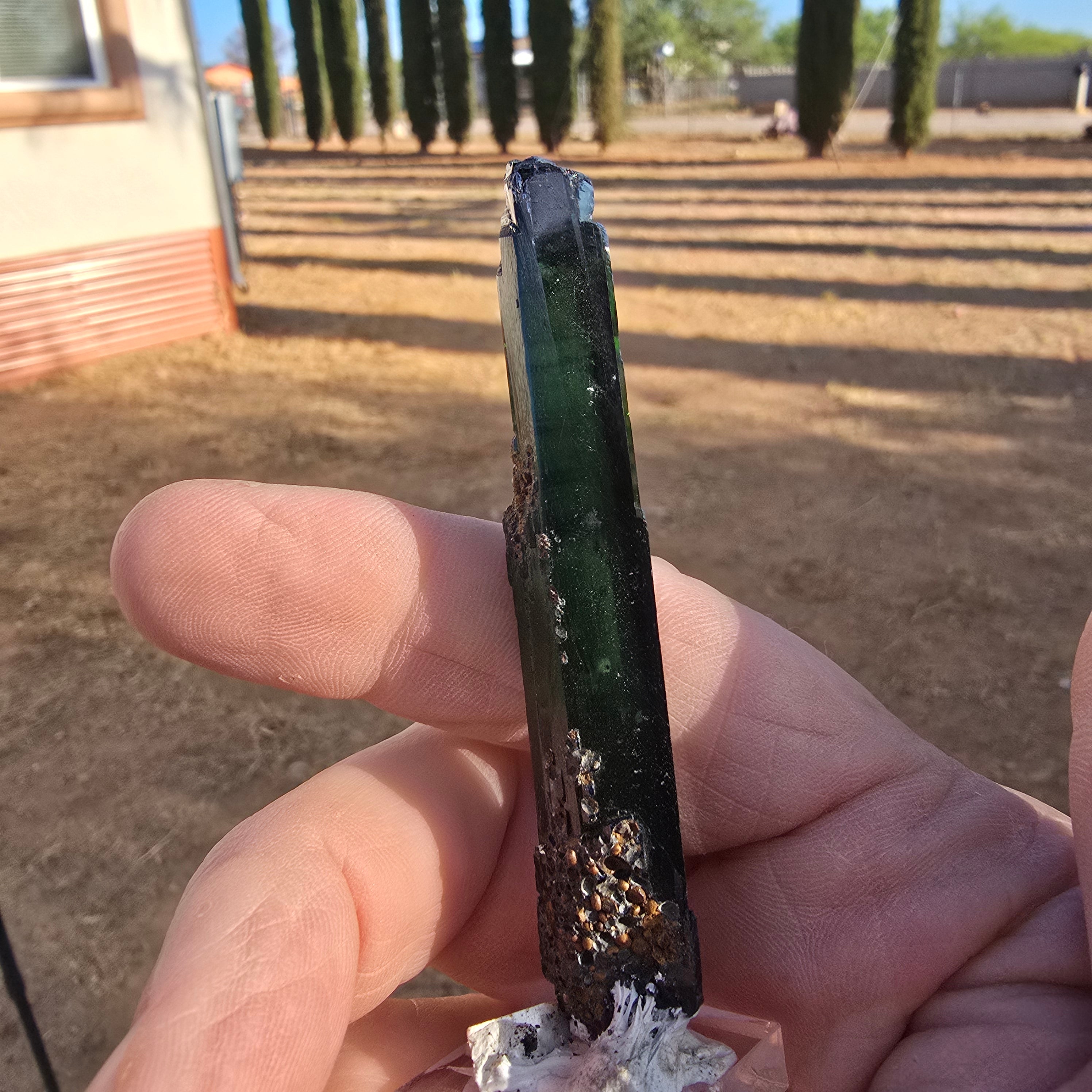 Mineral Specimens | Vivianite Crystal