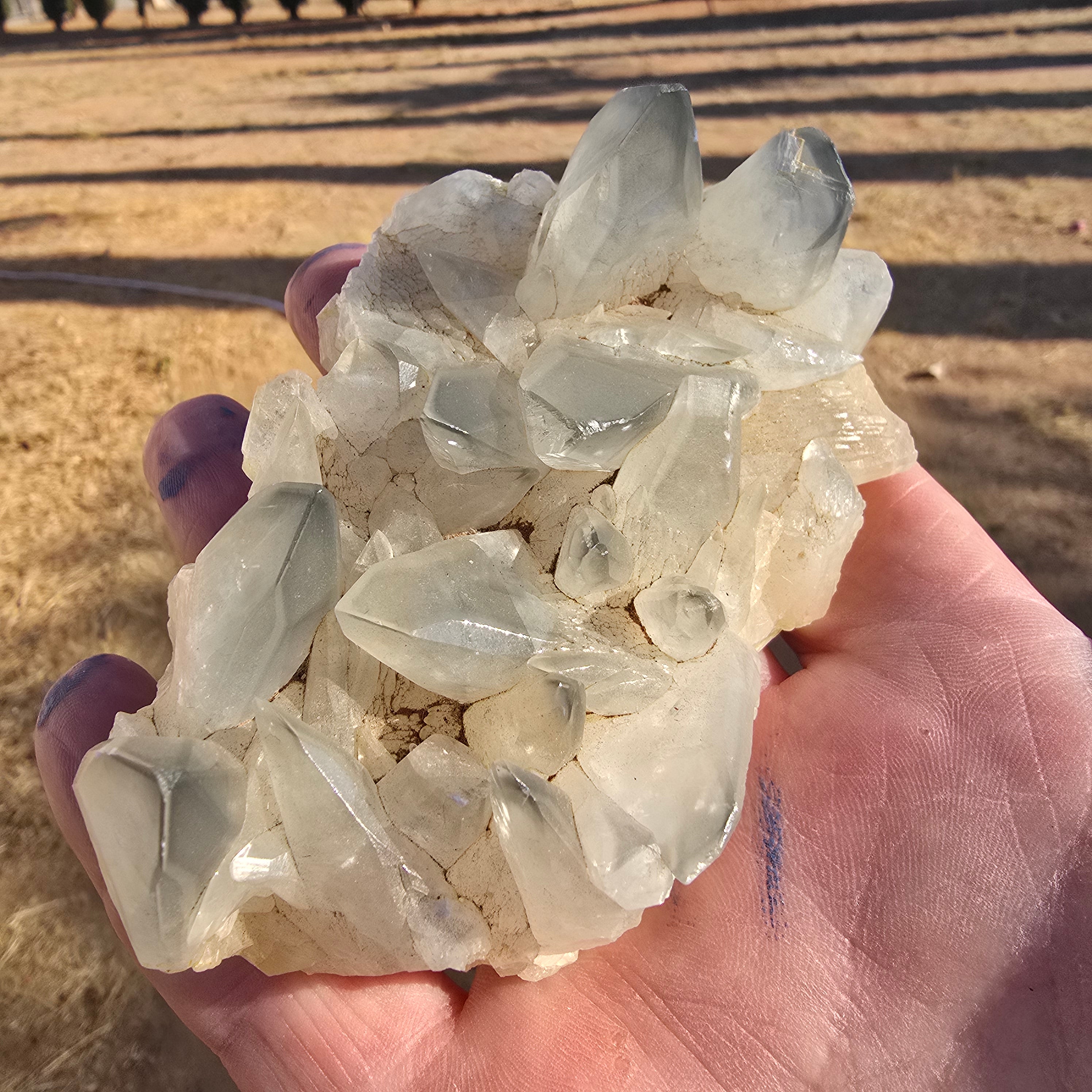 Mineral Specimens | Phantom Calcite