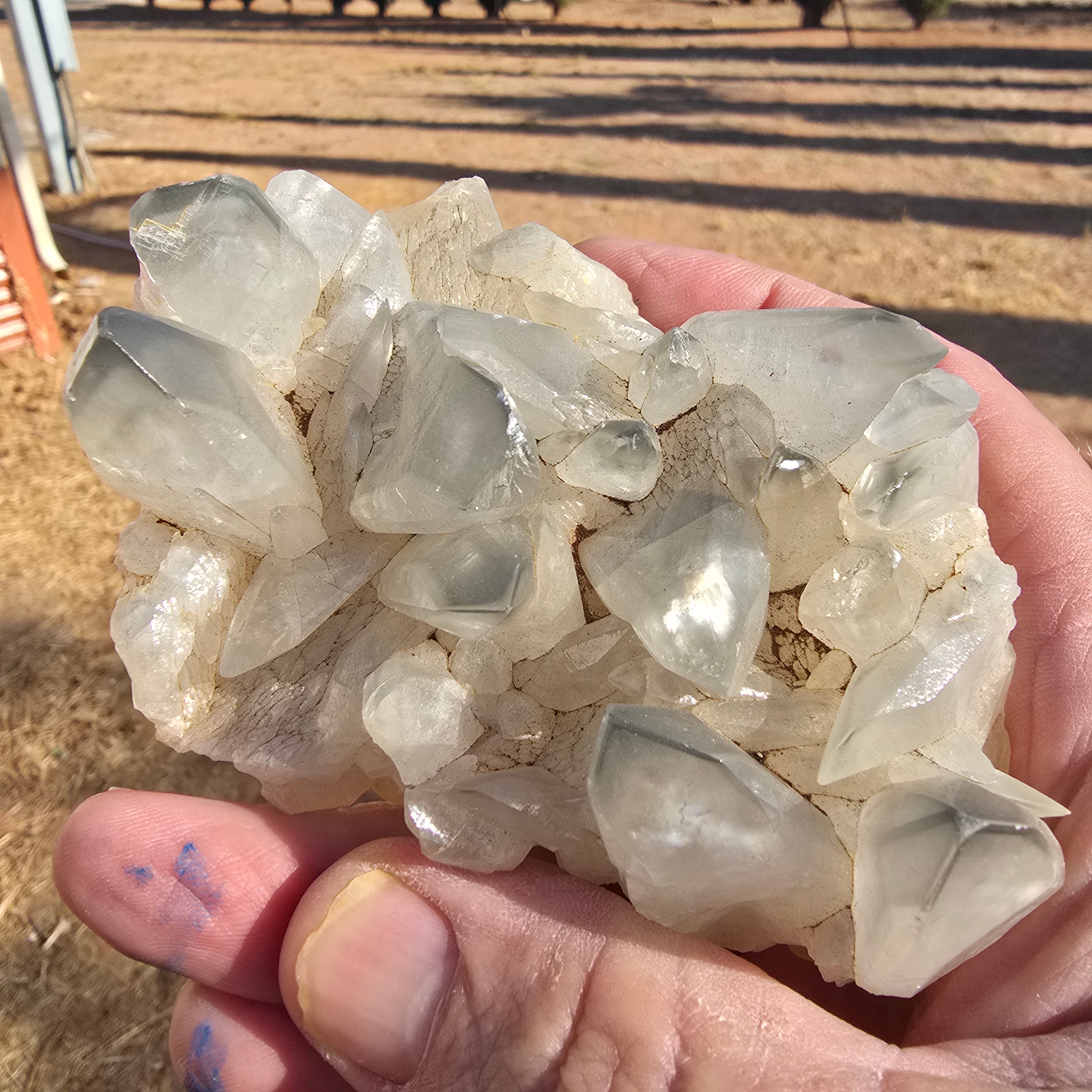 Mineral Specimens | Phantom Calcite
