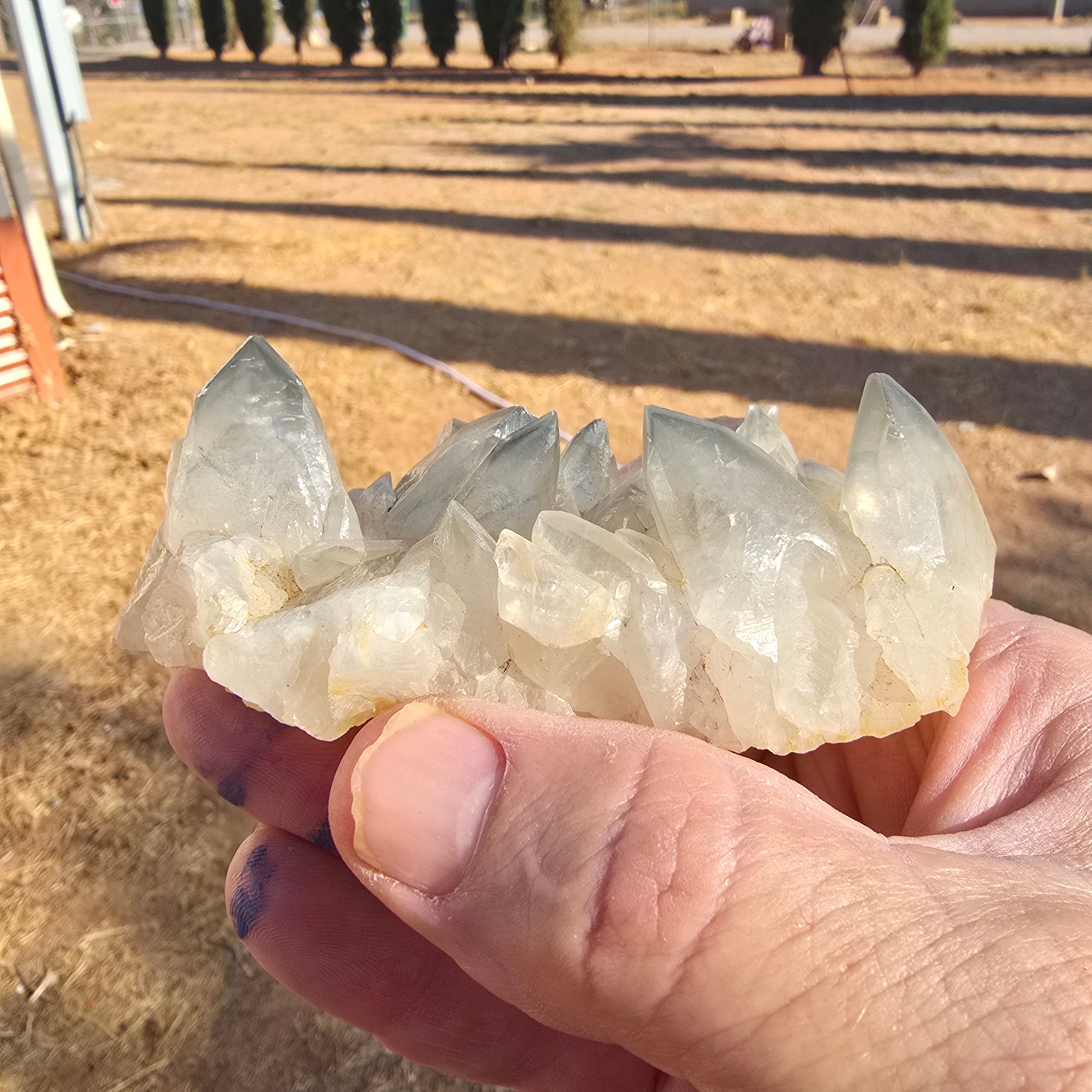 Mineral Specimens | Phantom Calcite