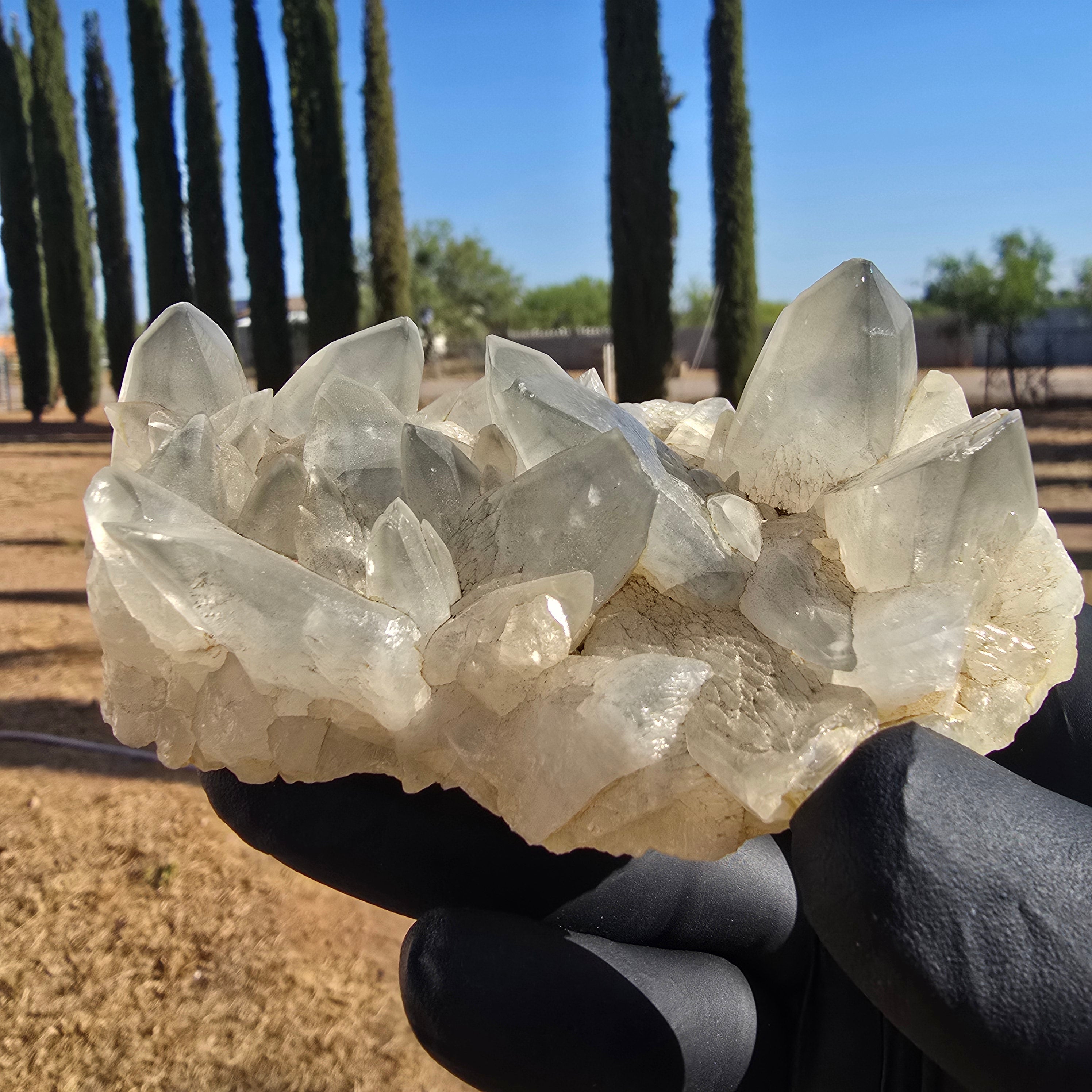 Mineral Specimens | Phantom Calcite