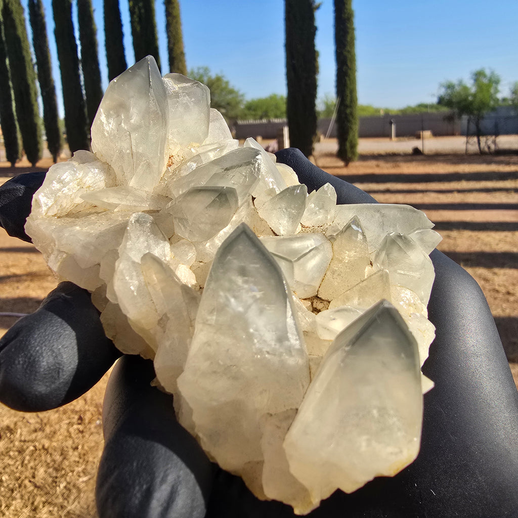 Mineral Specimens | Phantom Calcite