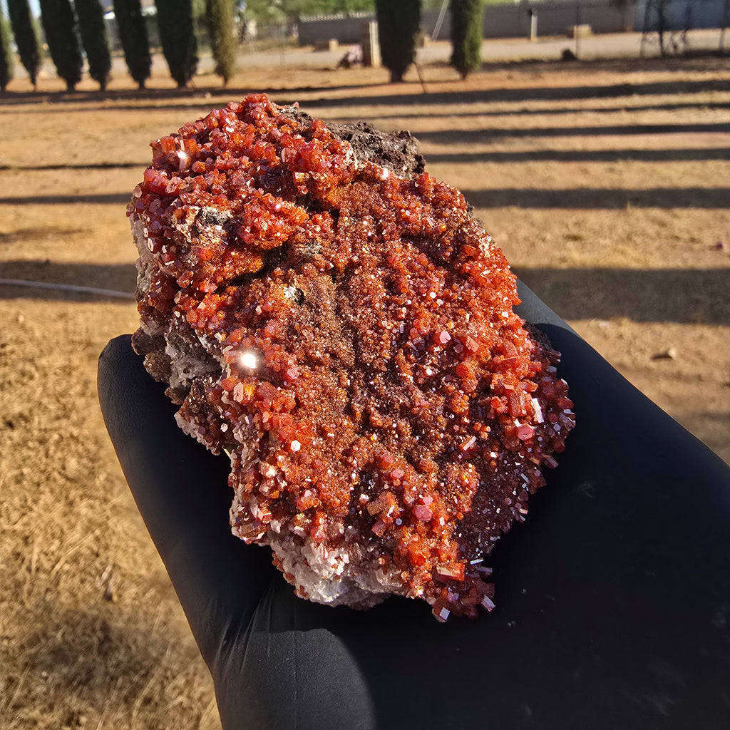 Mineral Specimens | North Geronimo Vanadanite