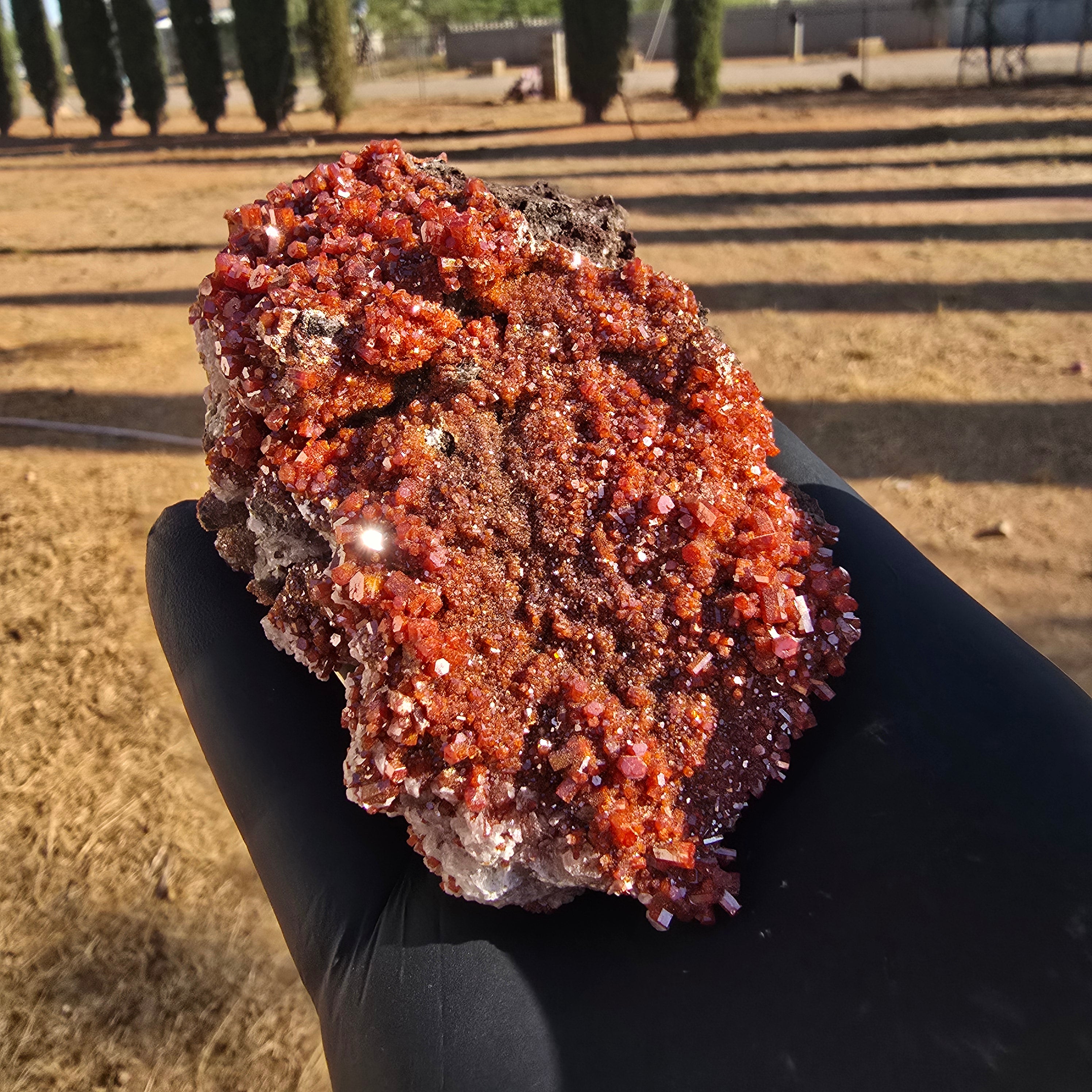 Mineral Specimens | North Geronimo Vanadanite