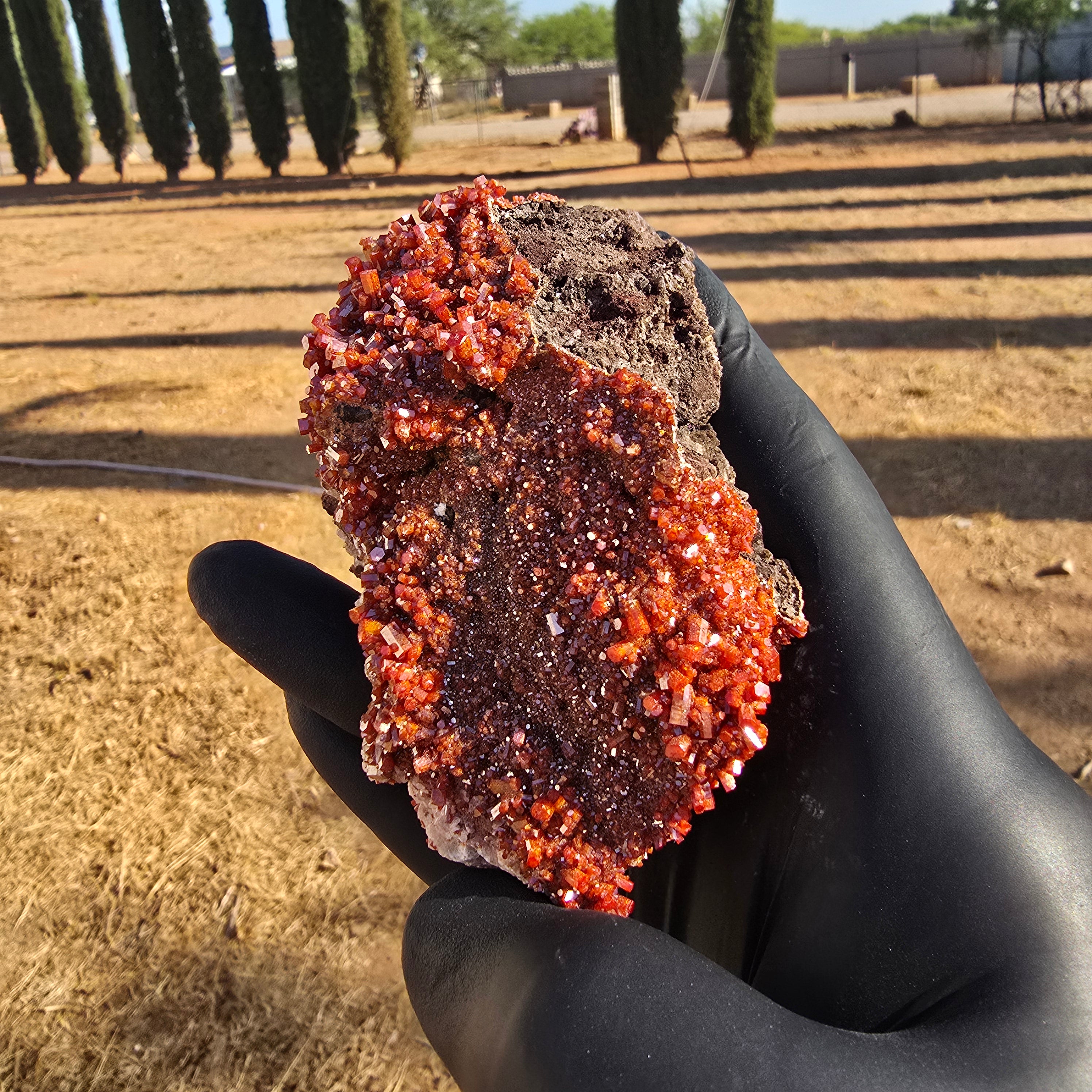 Mineral Specimens | North Geronimo Vanadanite