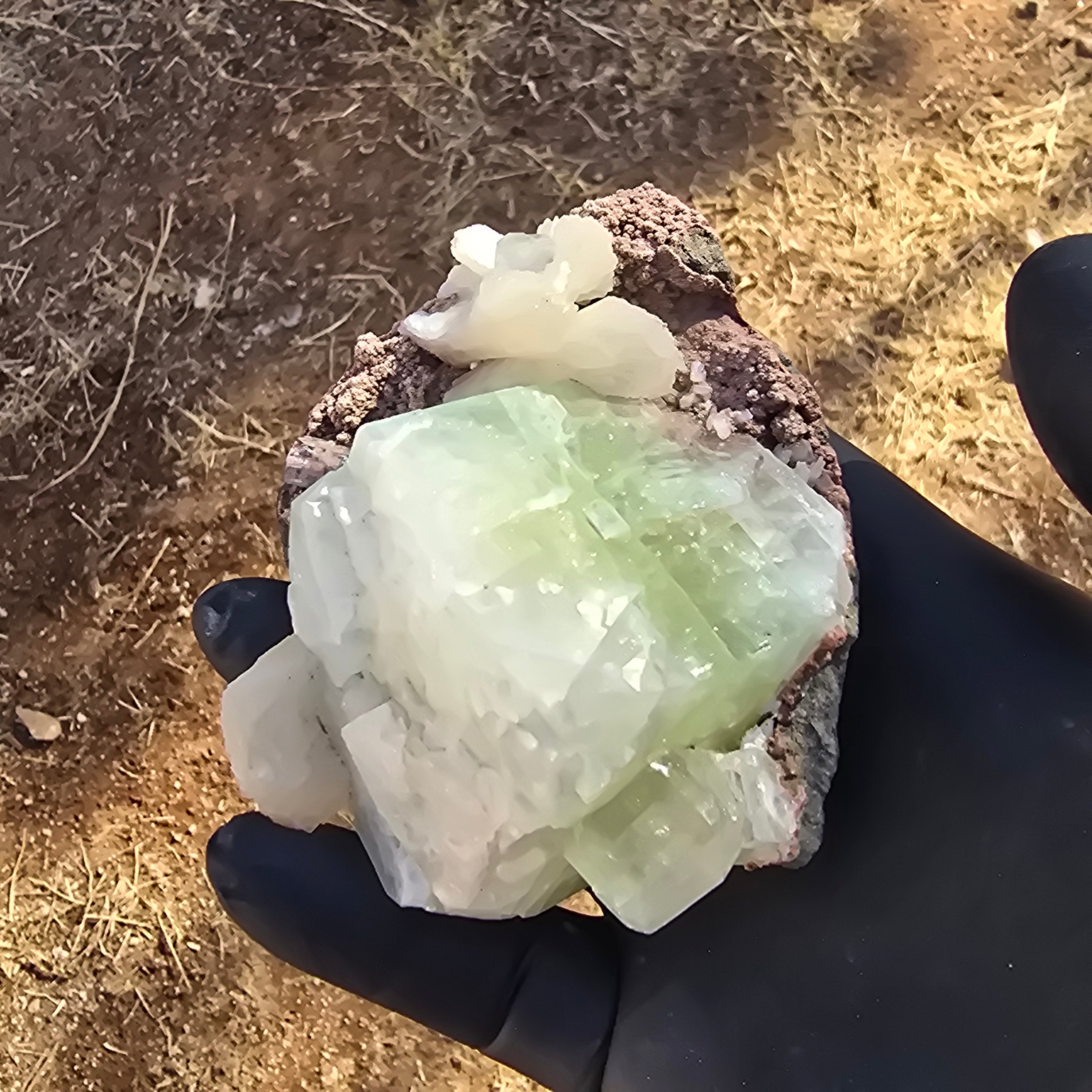 Mineral Specimens | Green Apophylite Cubes