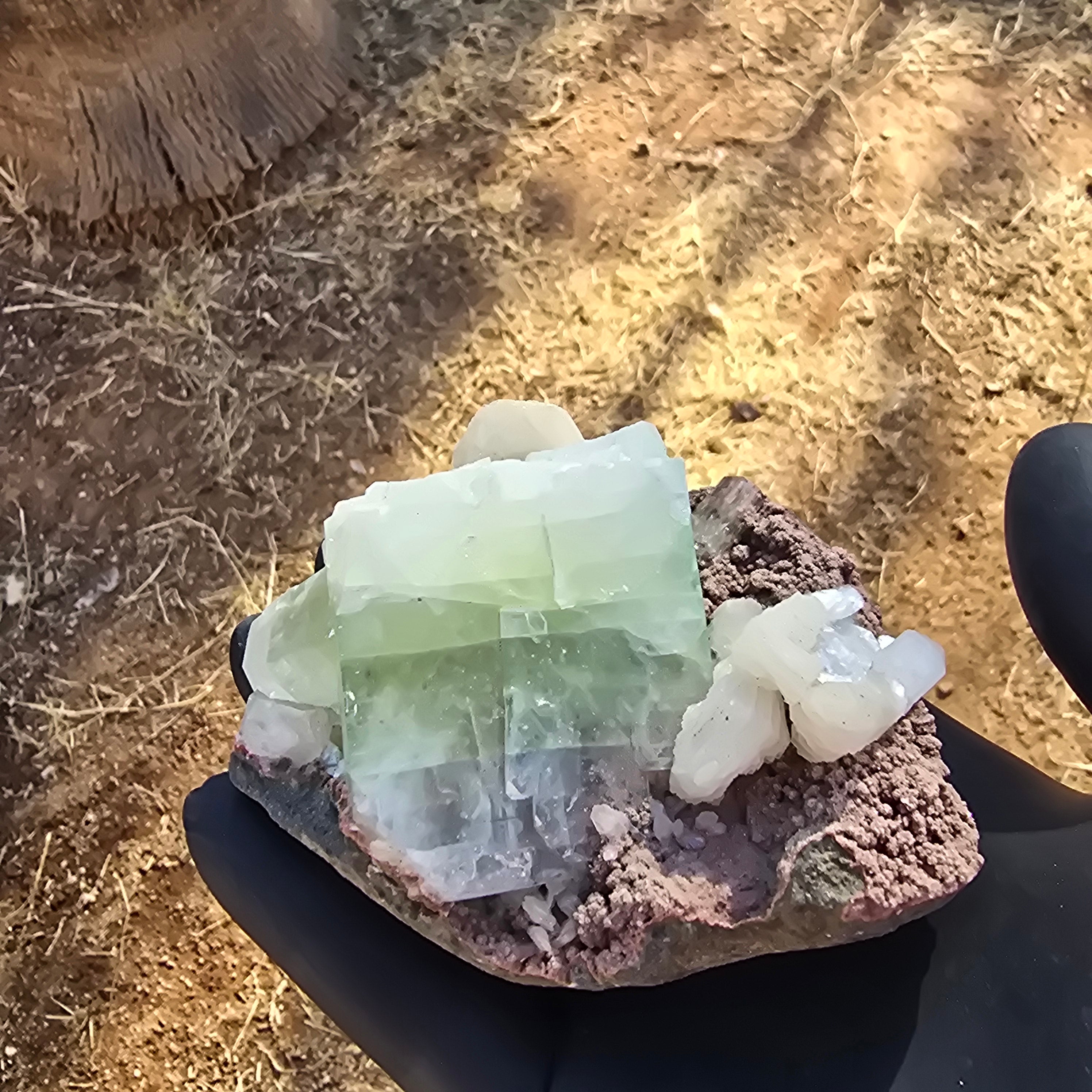 Mineral Specimens | Green Apophylite Cubes
