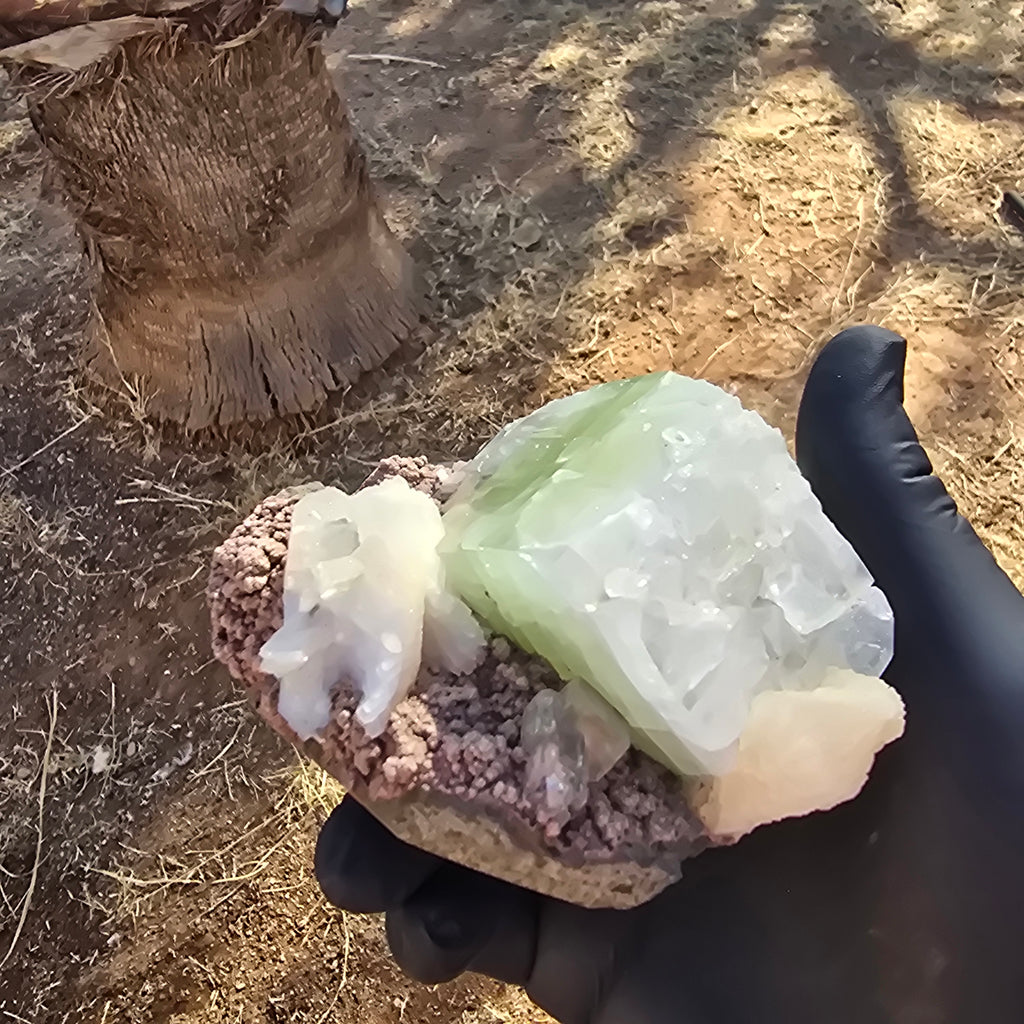 Mineral Specimens | Green Apophylite Cubes
