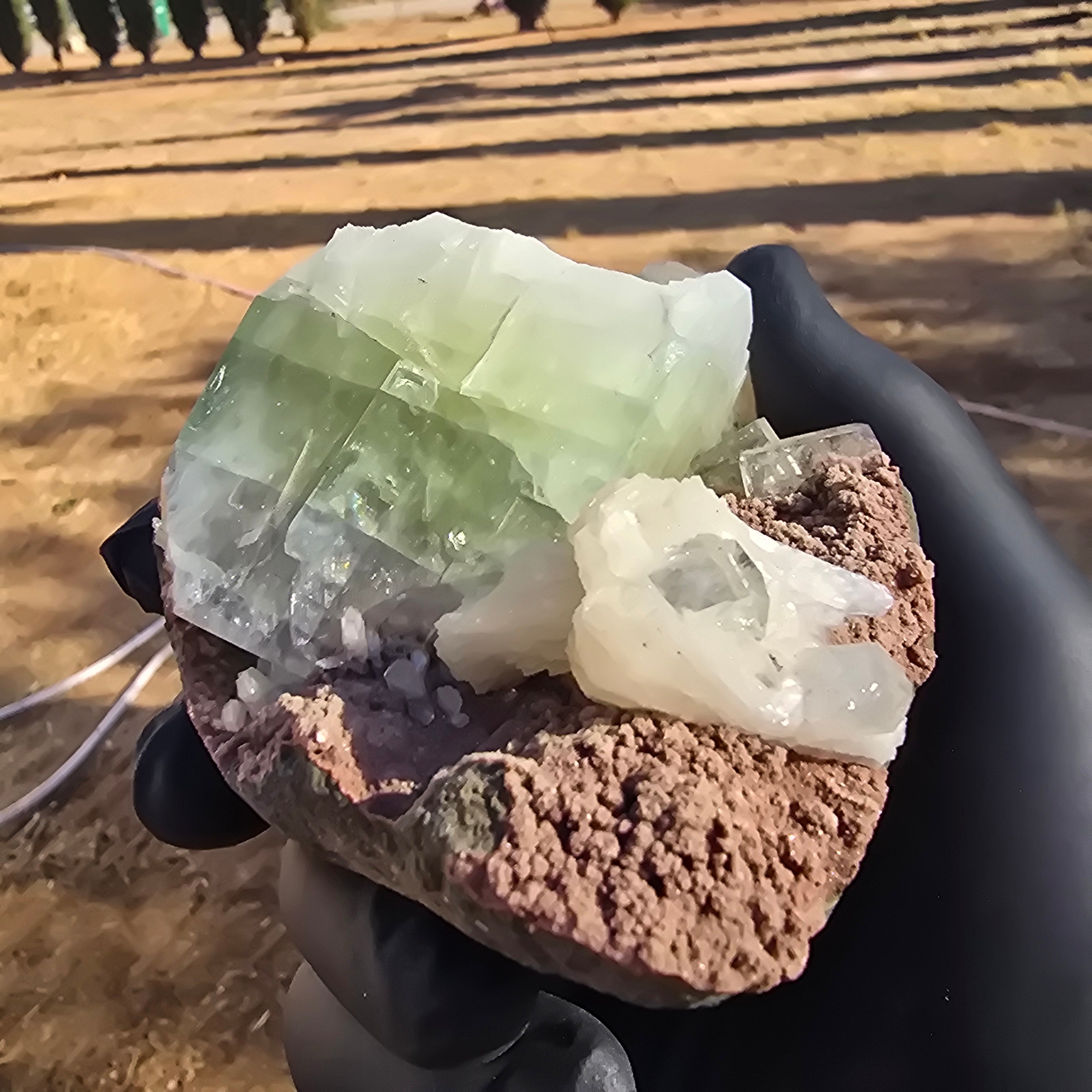 Mineral Specimens | Green Apophylite Cubes