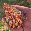 Mineral Specimens | North Geronimo Vanadanite