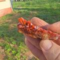 Large Vanadanite Crystals Geronimo Mine
