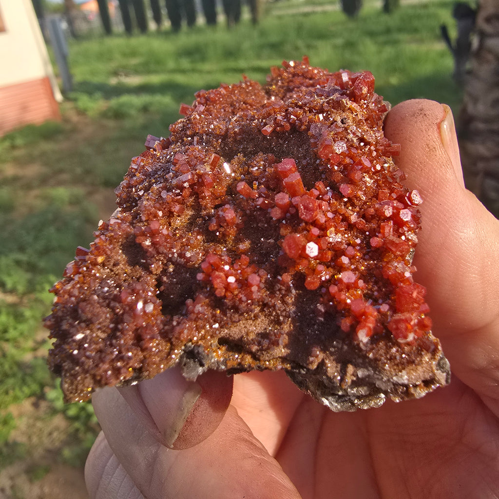 Mineral Specimens | North Geronimo Vanadanite