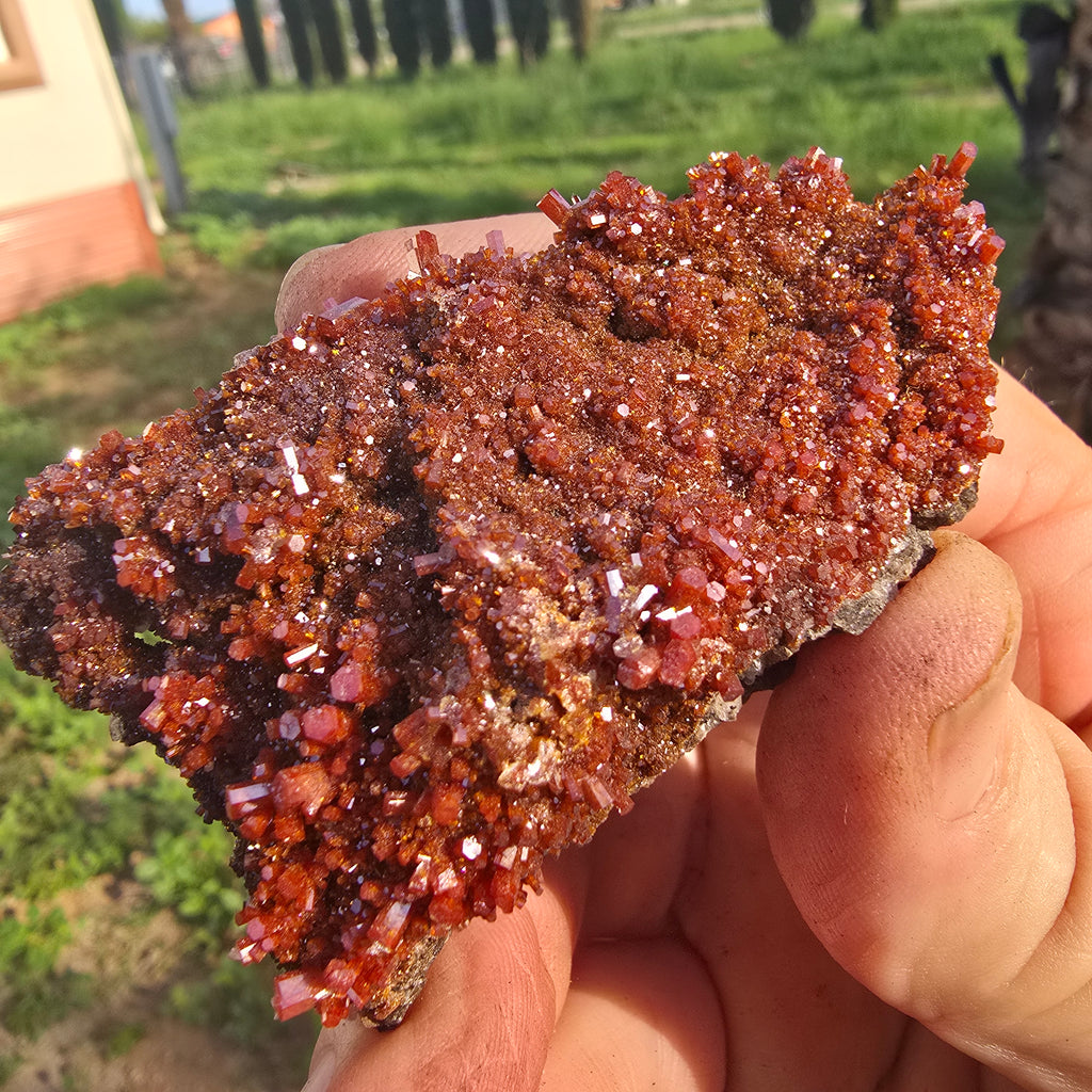 Mineral Specimens | North Geronimo Vanadanite