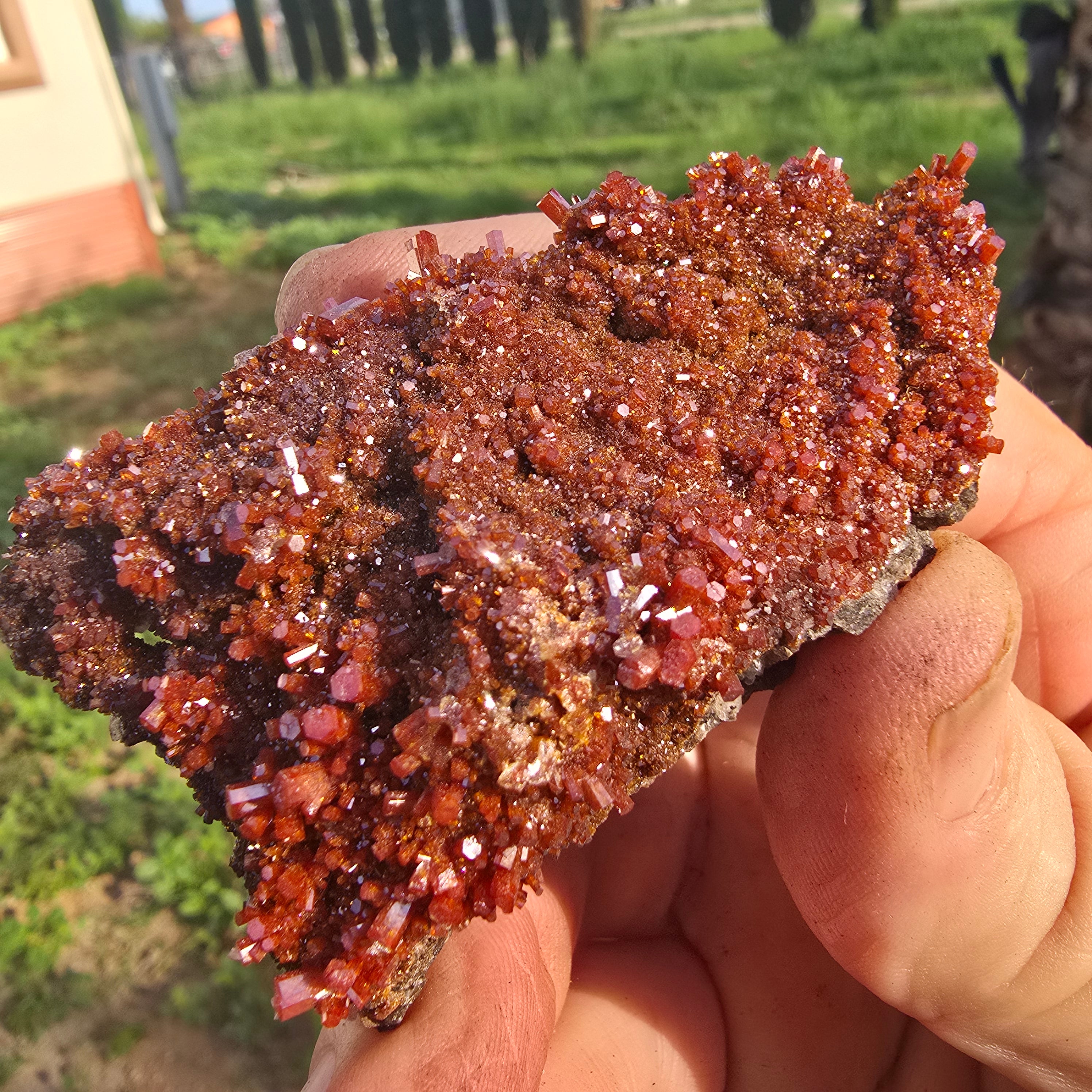 Mineral Specimens | North Geronimo Vanadanite