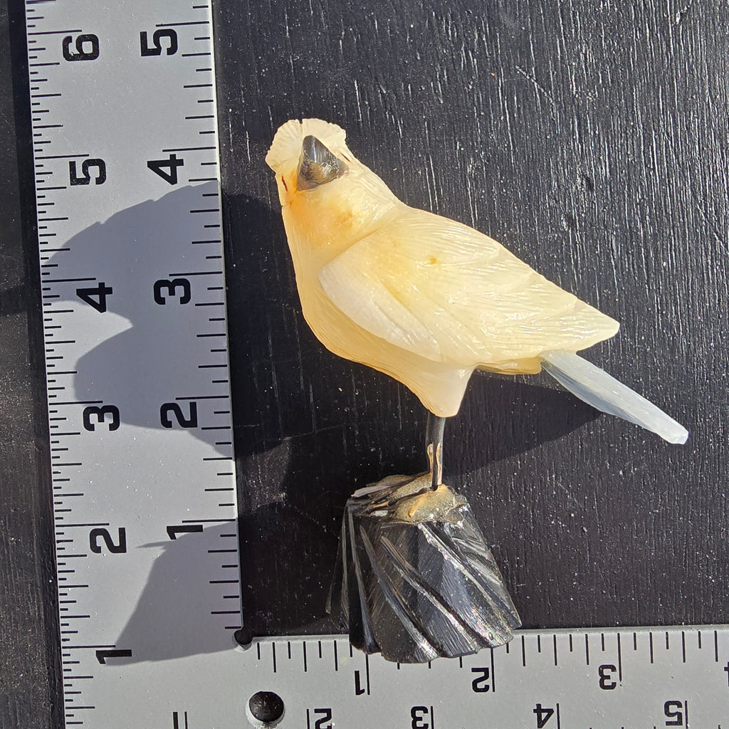 Carvings | Hand Carved Bird Peru