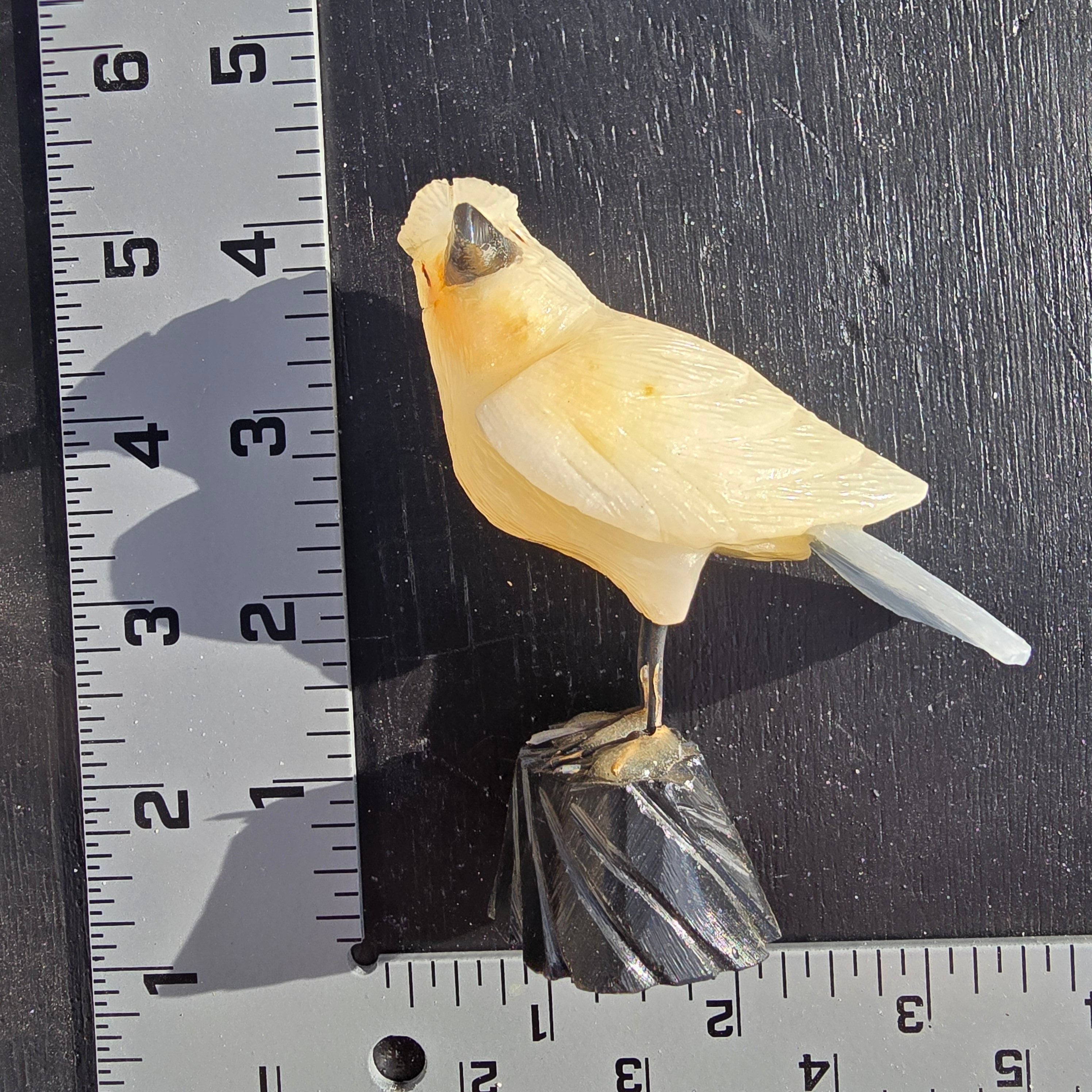 Carvings | Hand Carved Bird Peru