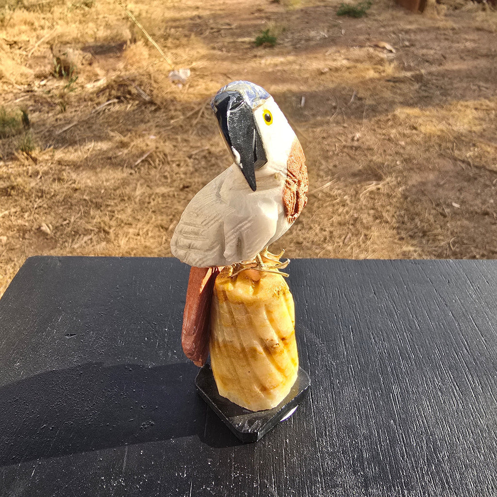 Carvings | Hand Carved Parrot Peru