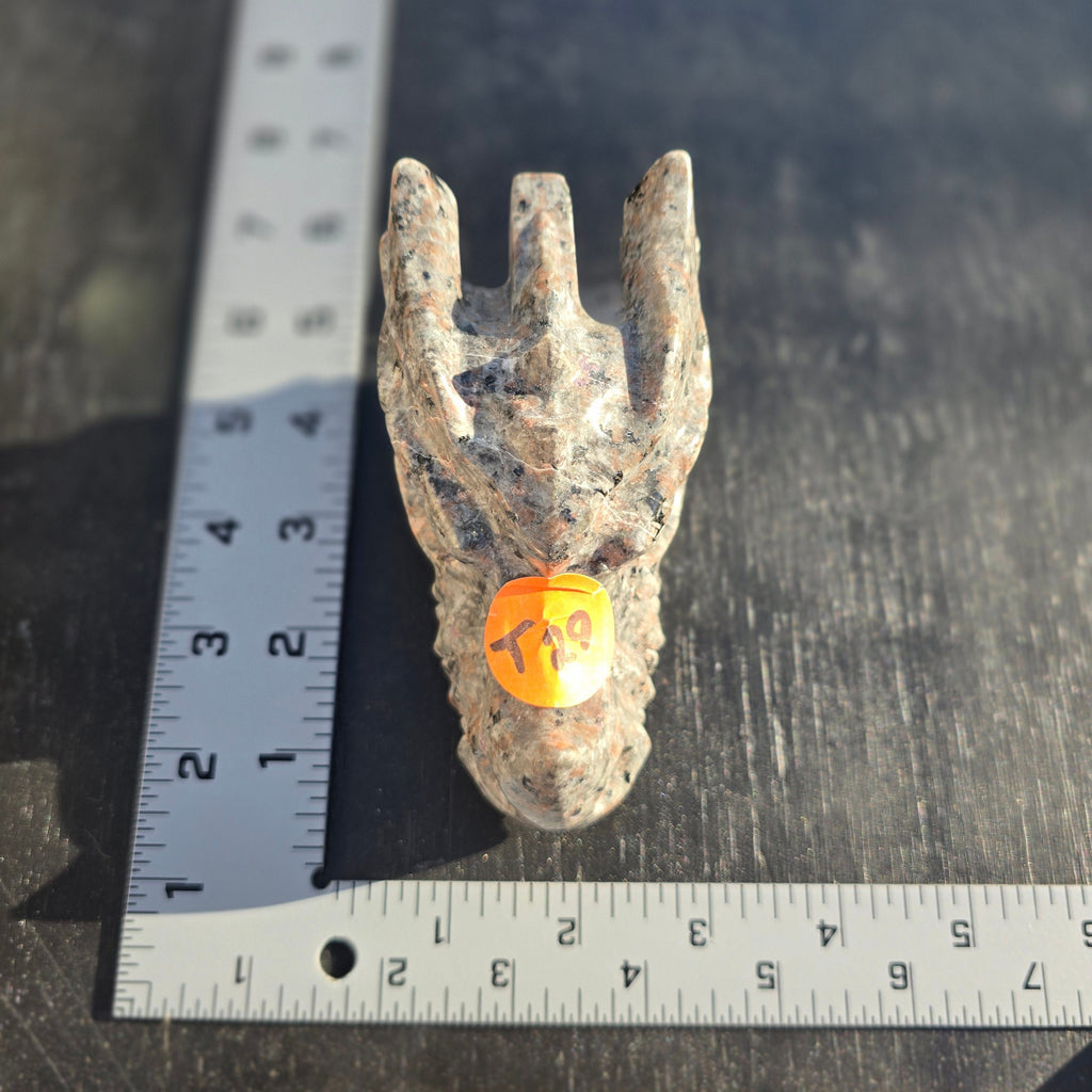 Skulls | Yooperlite Dragons Skull