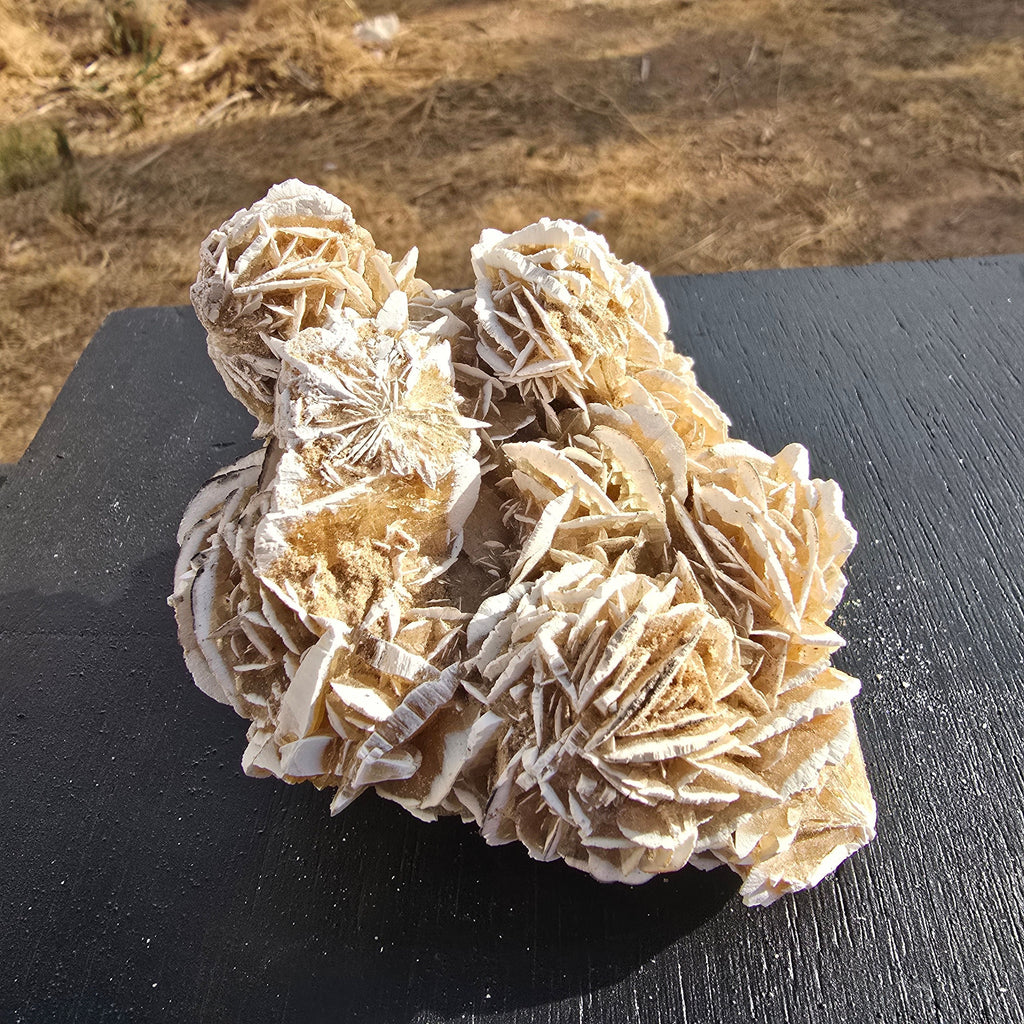 Minerals | Selenite Roses (desert Rose Cluster)