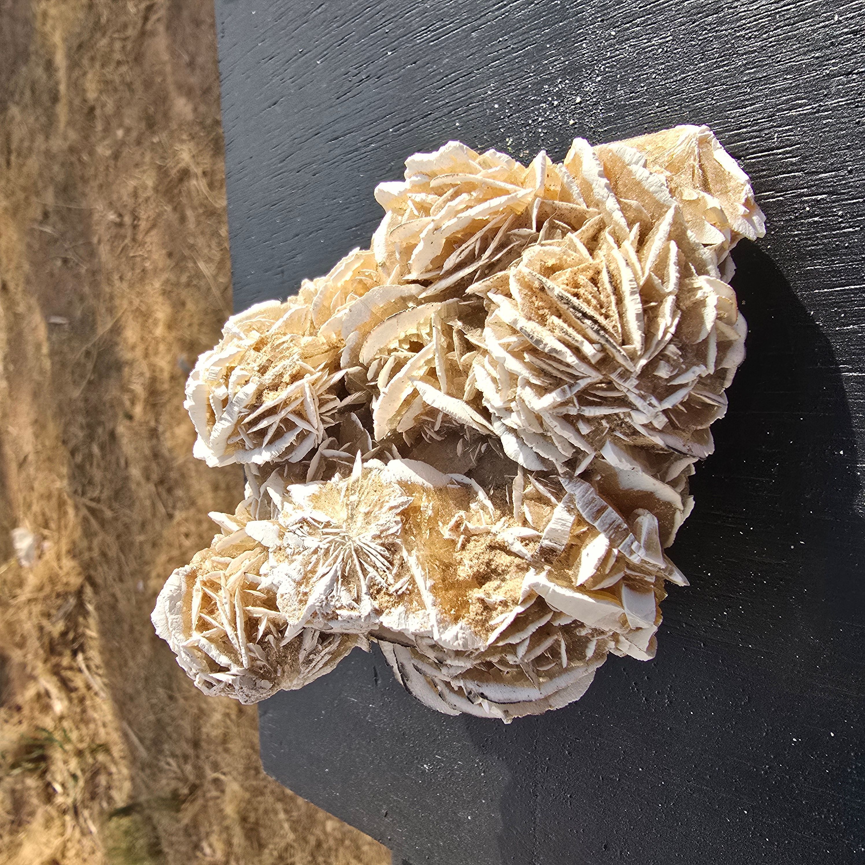 Minerals | Selenite Roses (desert Rose Cluster)