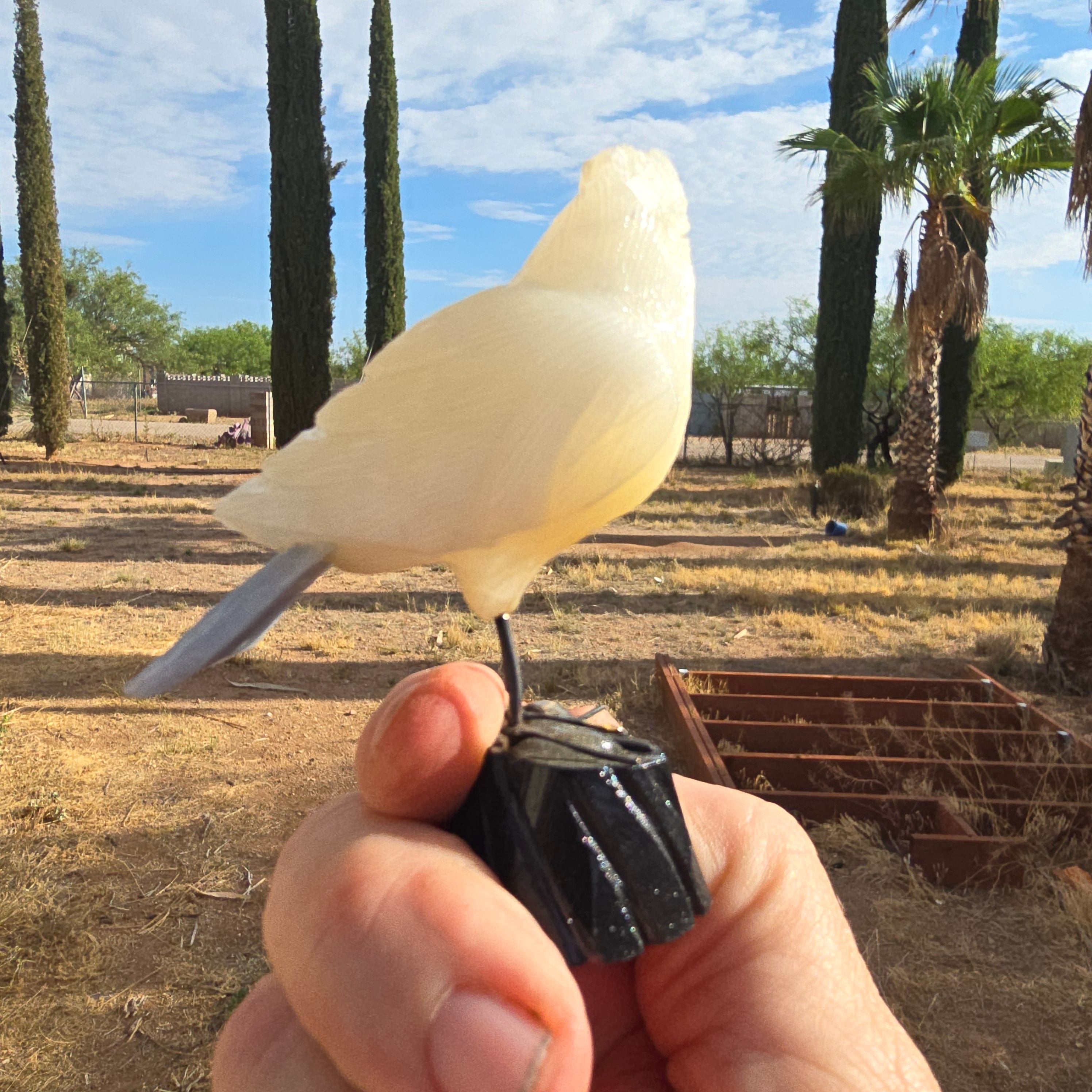 Carvings | Hand Carved Bird Peru