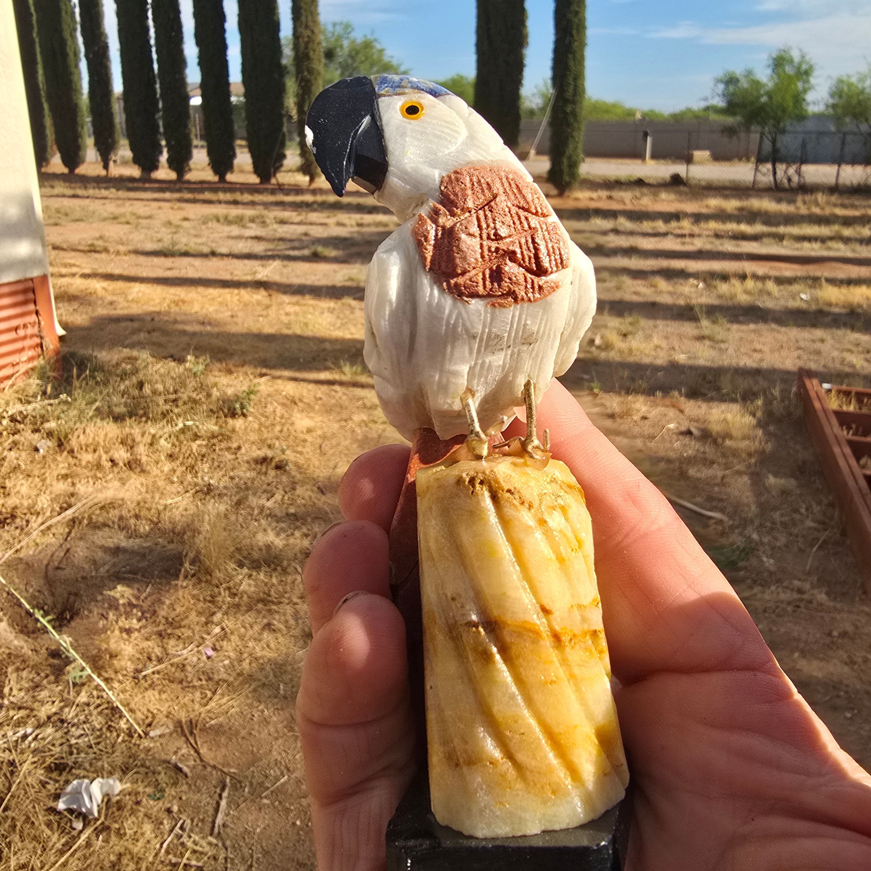 Carvings | Hand Carved Parrot Peru
