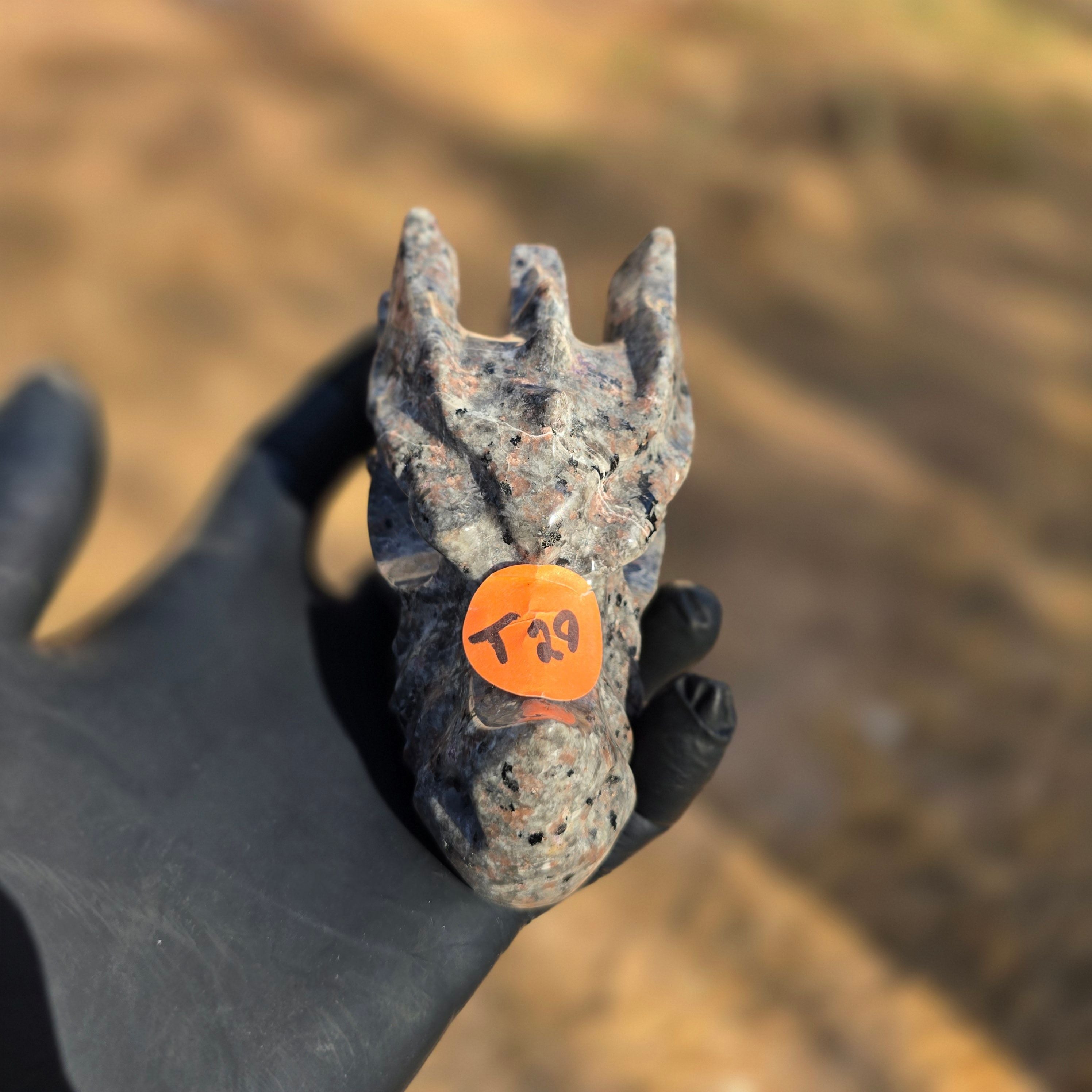 Skulls | Yooperlite Dragons Skull