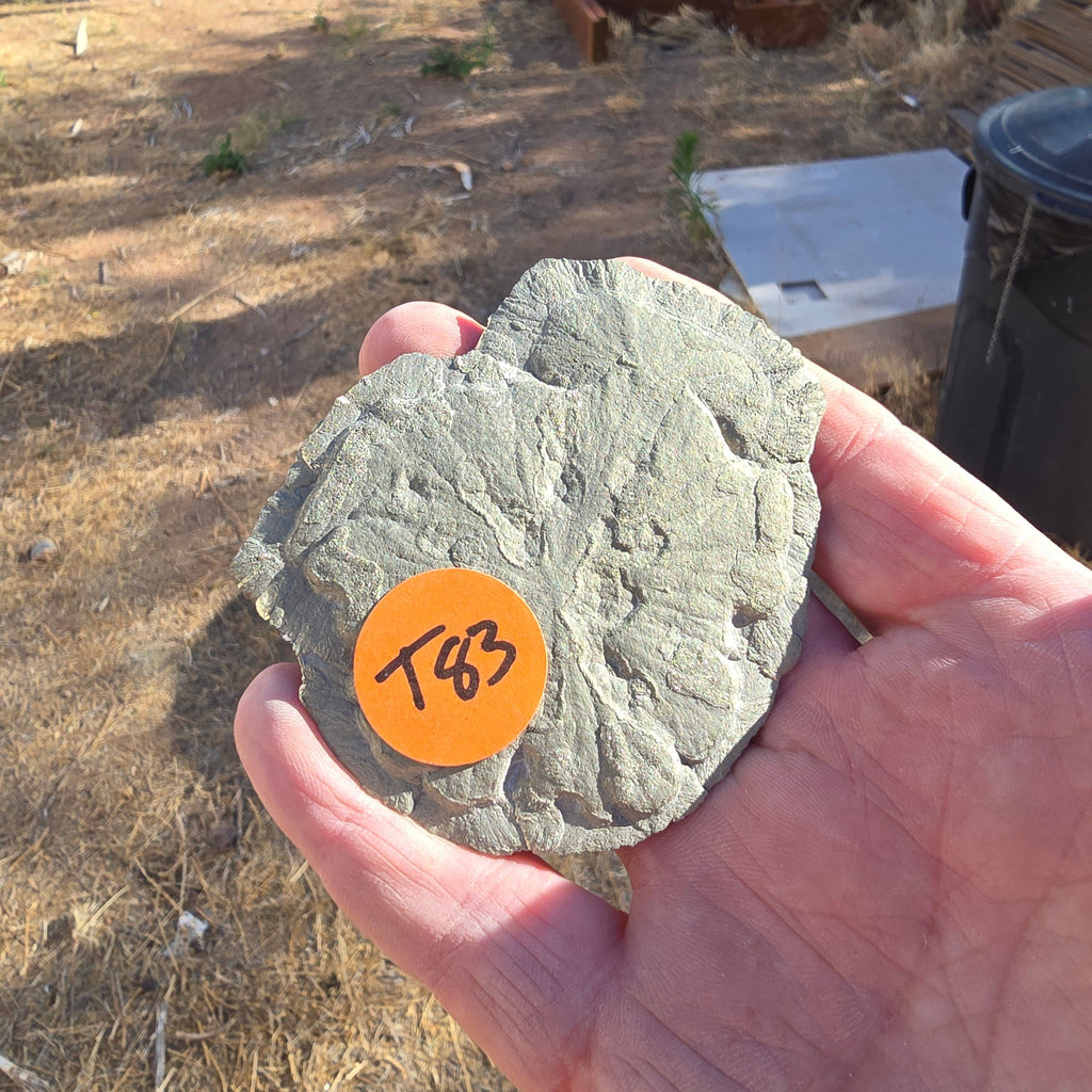 Minerals | Pyrite Sun t82