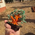 Trees | Jade Tree