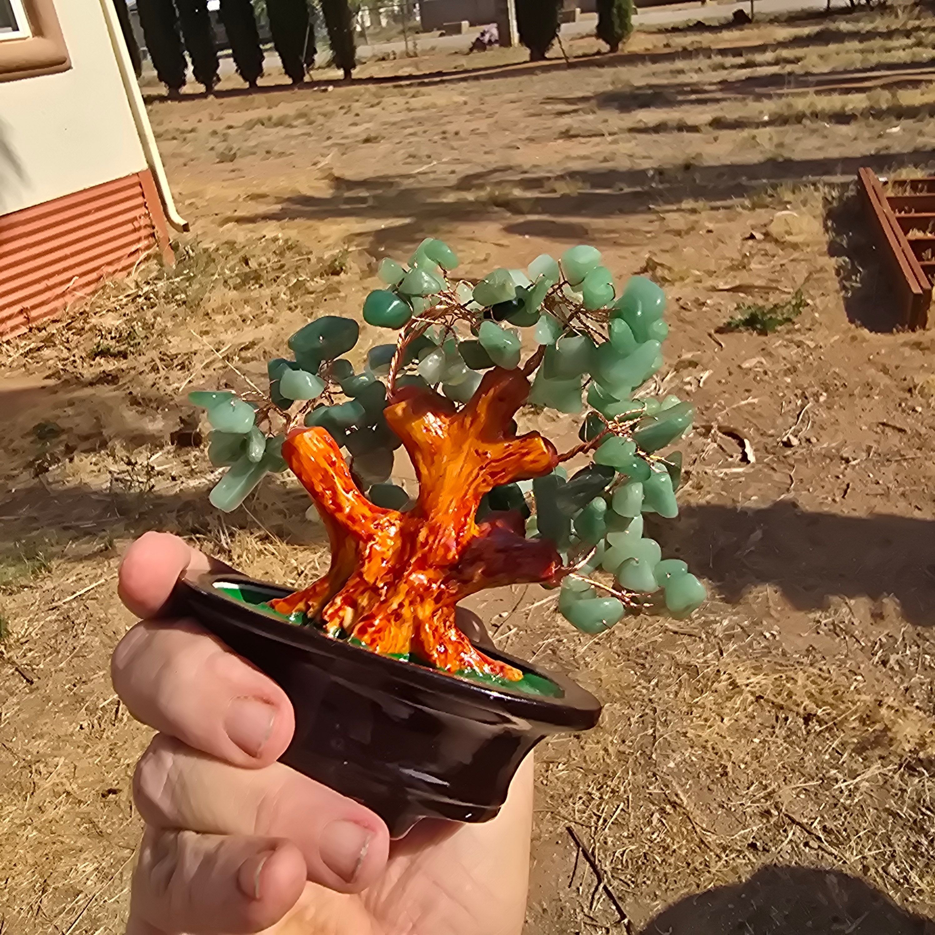 Trees | Jade Tree