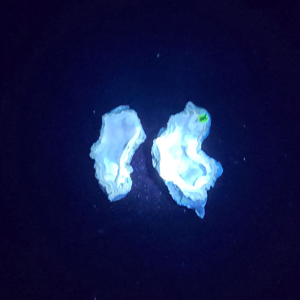 Minerals | Coral Geode Pair Fluorescent