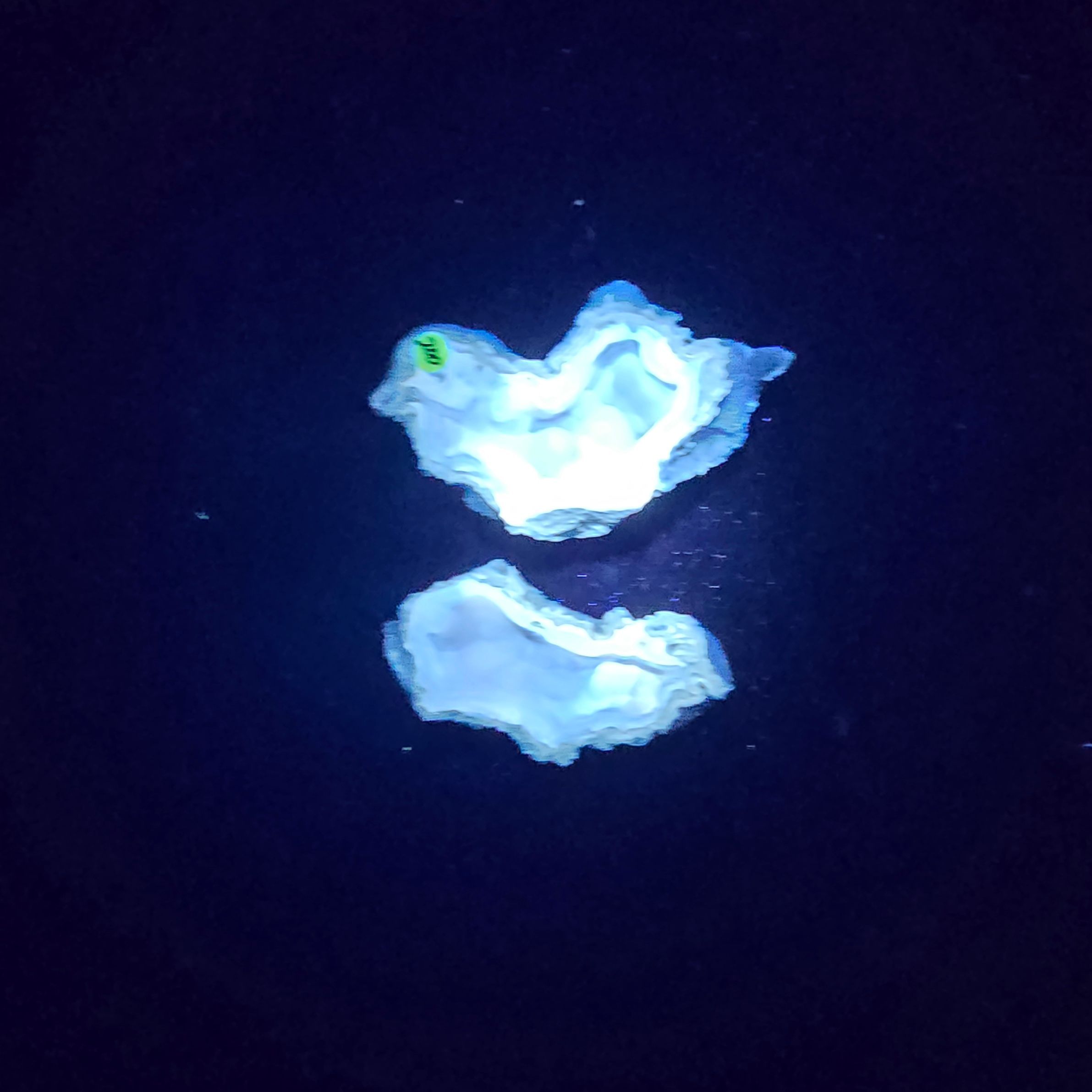 Minerals | Coral Geode Pair Fluorescent