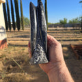 Fossils Freestanding Orthoceras T81