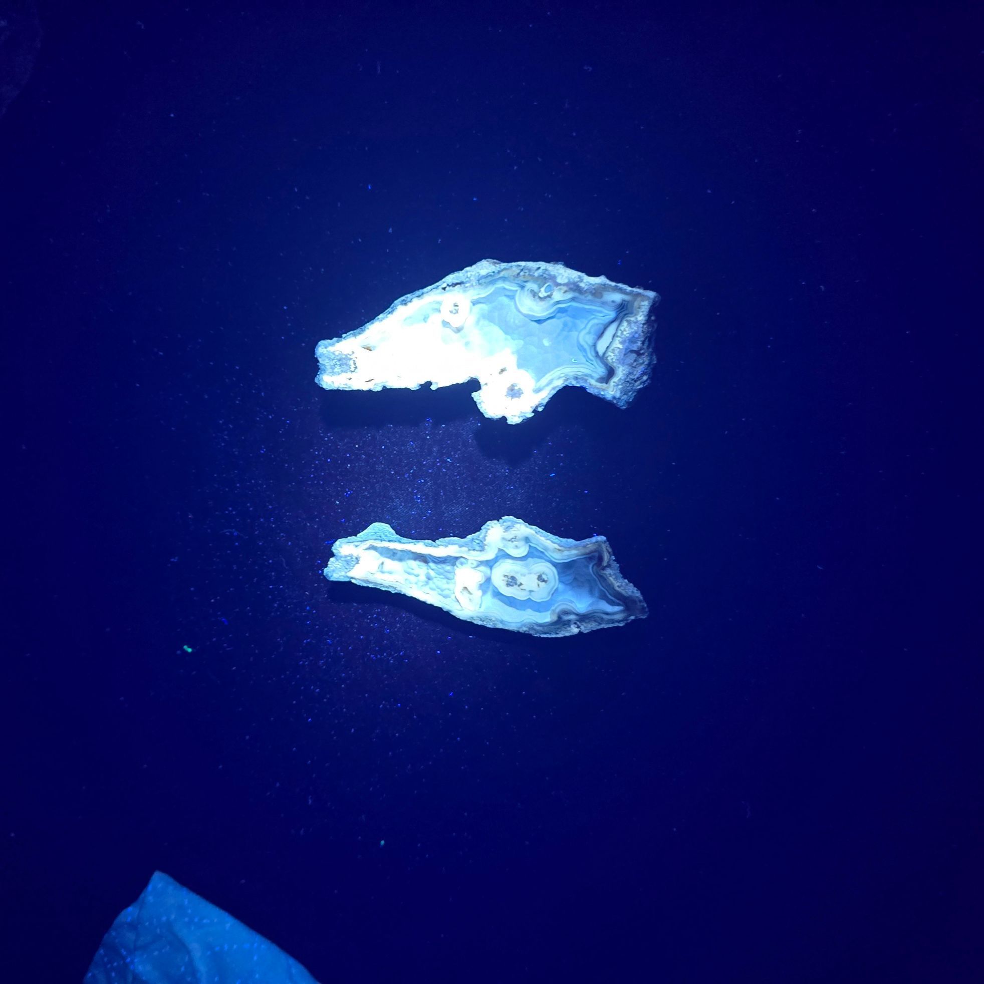 Minerals | Coral Geode Pair Fluorescent