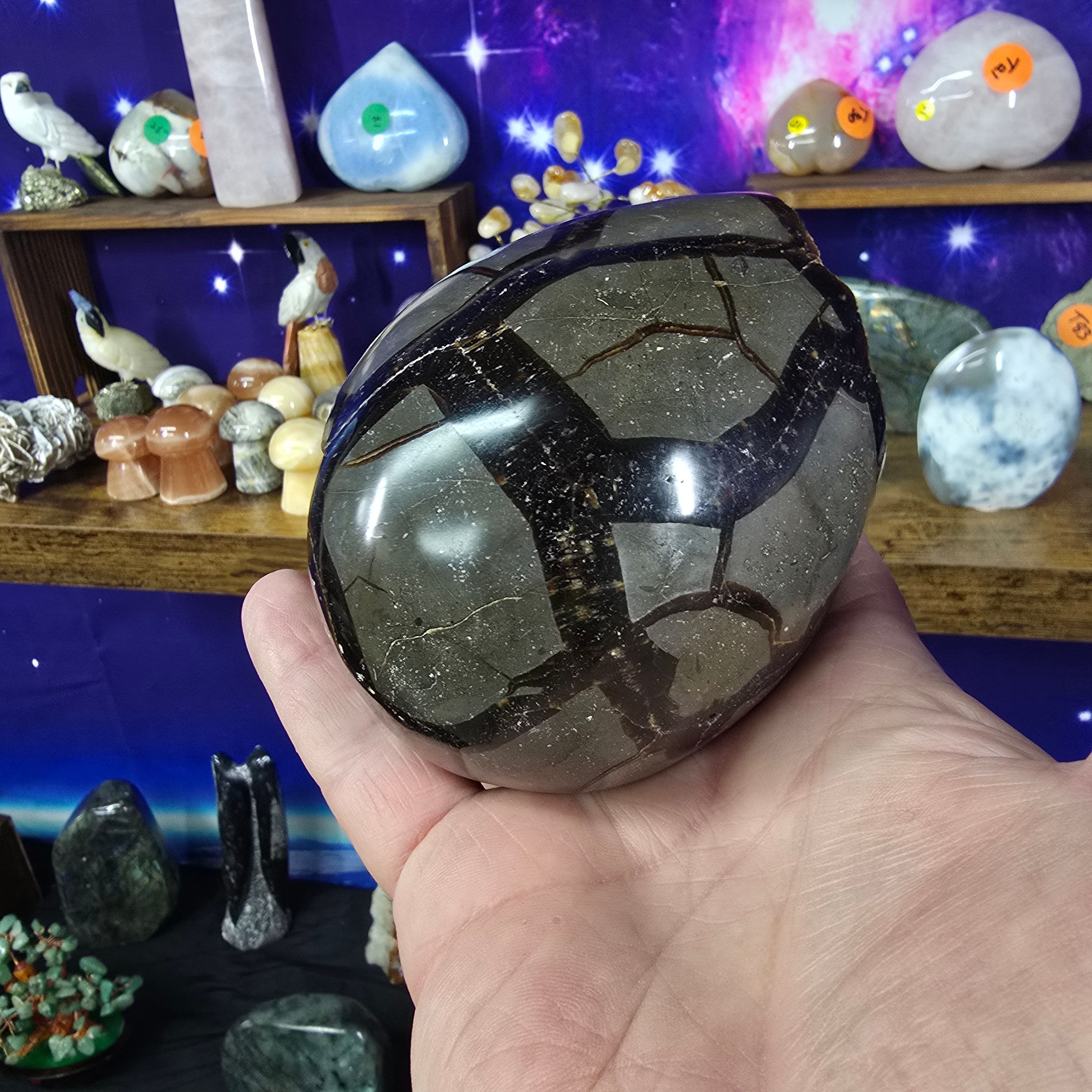 Minerals | Septarian Nodule Dragons Egg
