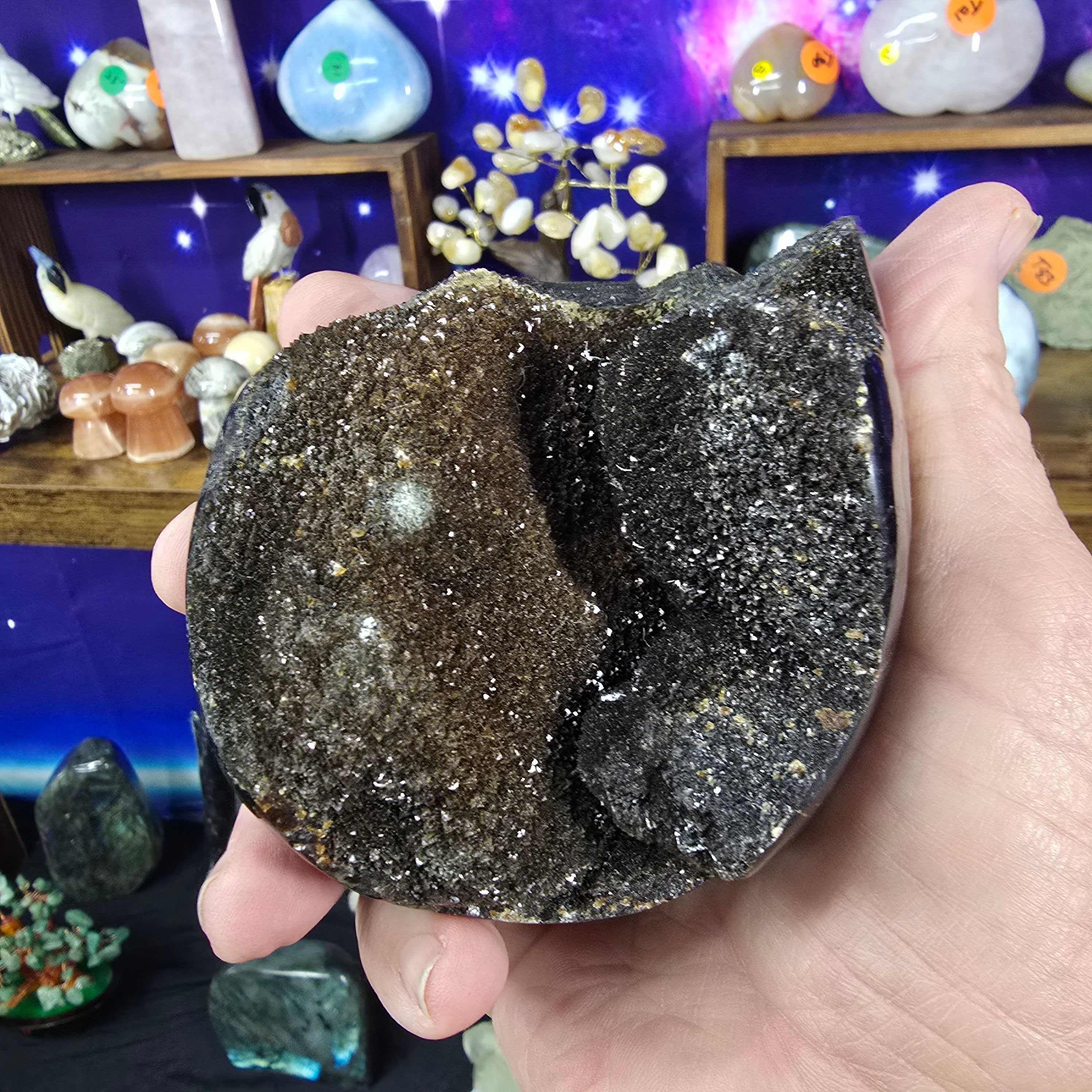 Minerals | Septarian Nodule Dragons Egg
