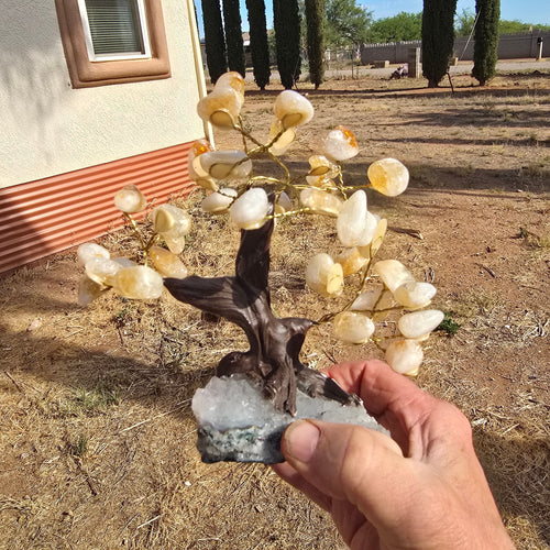 Gem Trees | Citrine Tree on nice trunk on Matrix
