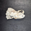 Minerals | Coral Geode Pair Fluorescent