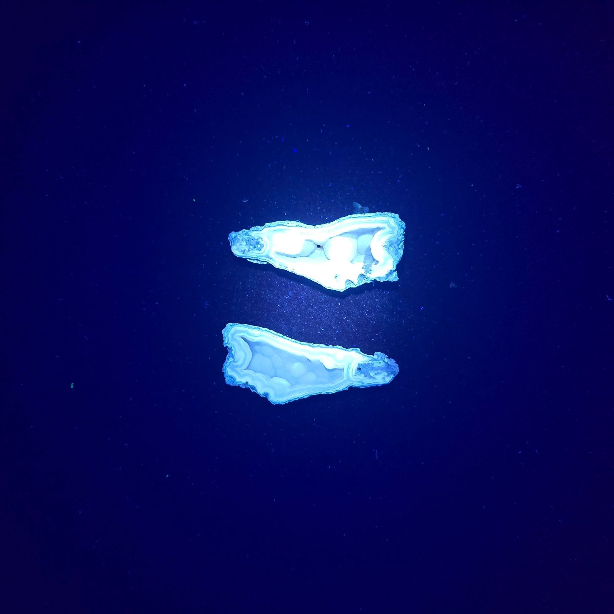 Minerals | Coral Geode Pair Fluorescent