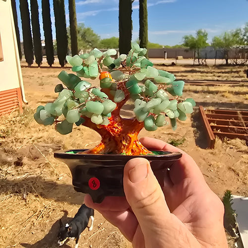 Gem Trees | Jade Tree
