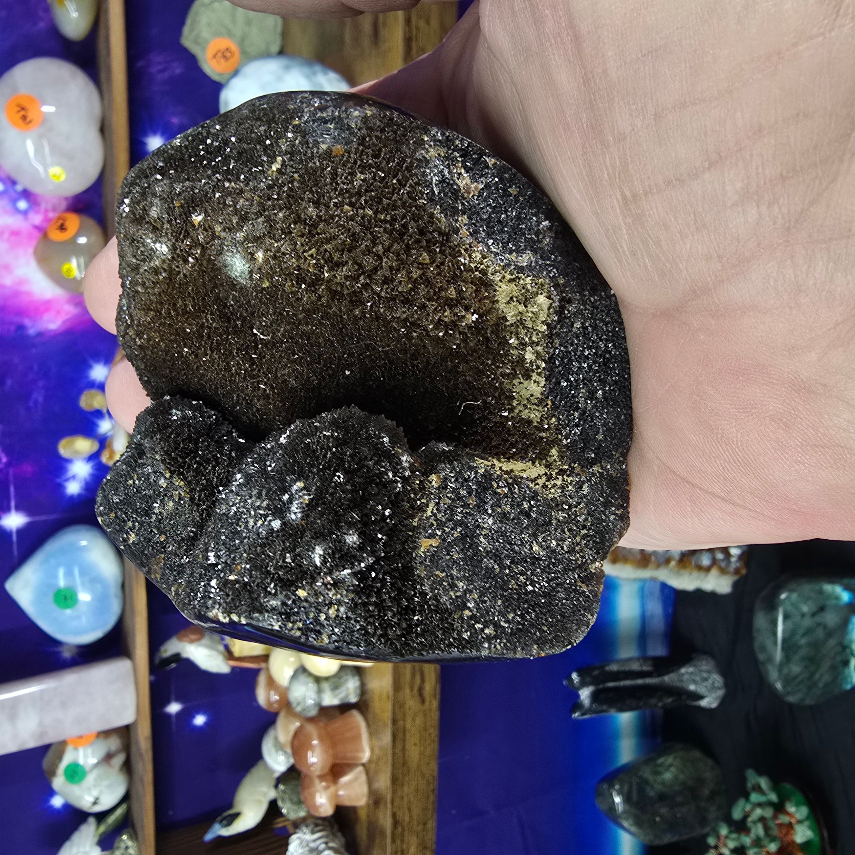 Minerals | Septarian Nodule Dragons Egg