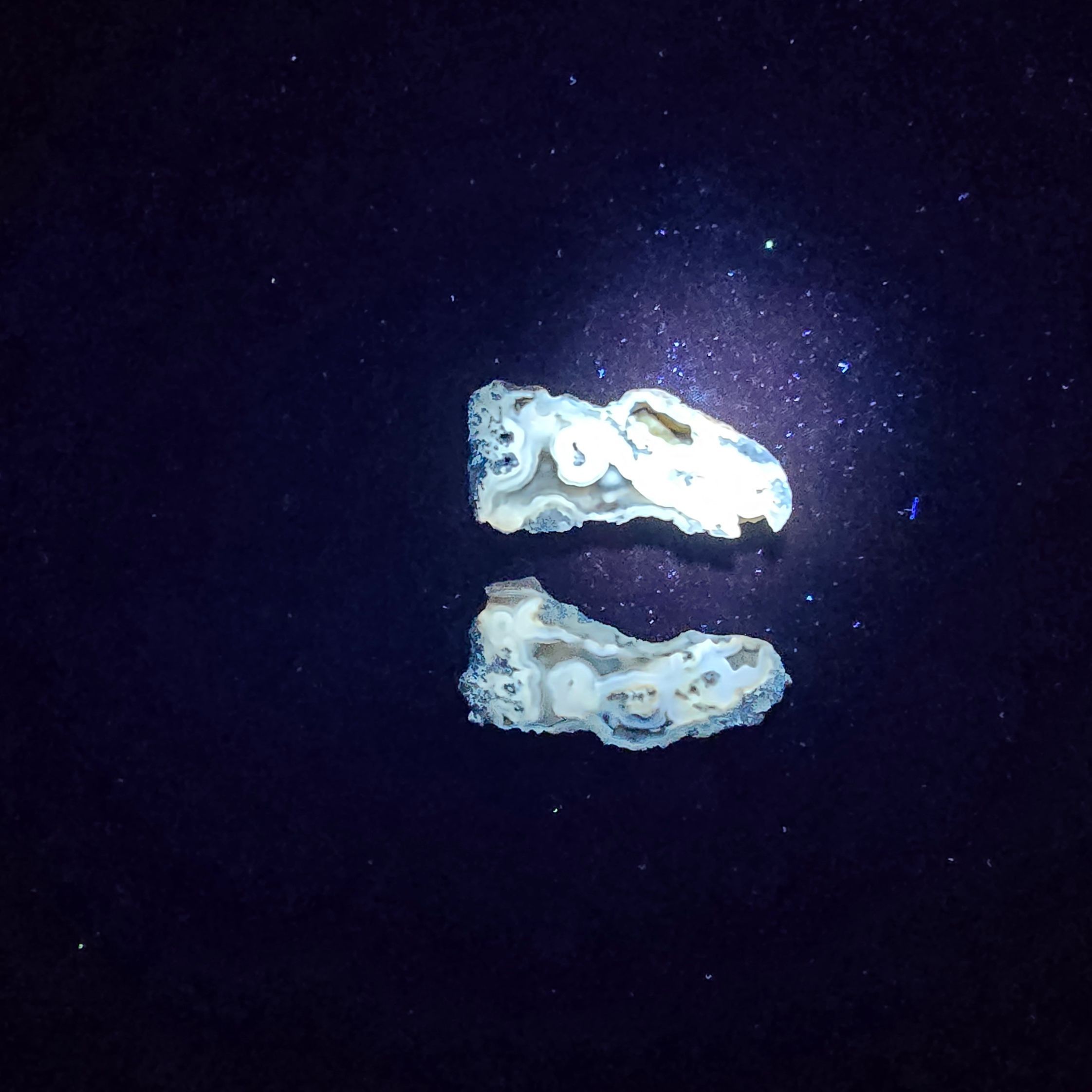 Minerals | Coral Geode Pair Fluorescent
